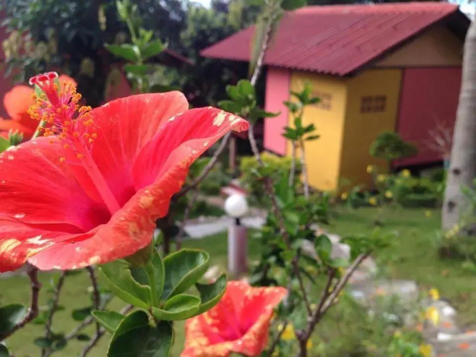 Facade/entrance in J.B.Hut Bungalows Facade/entrance in J.B.Hut Bungalows