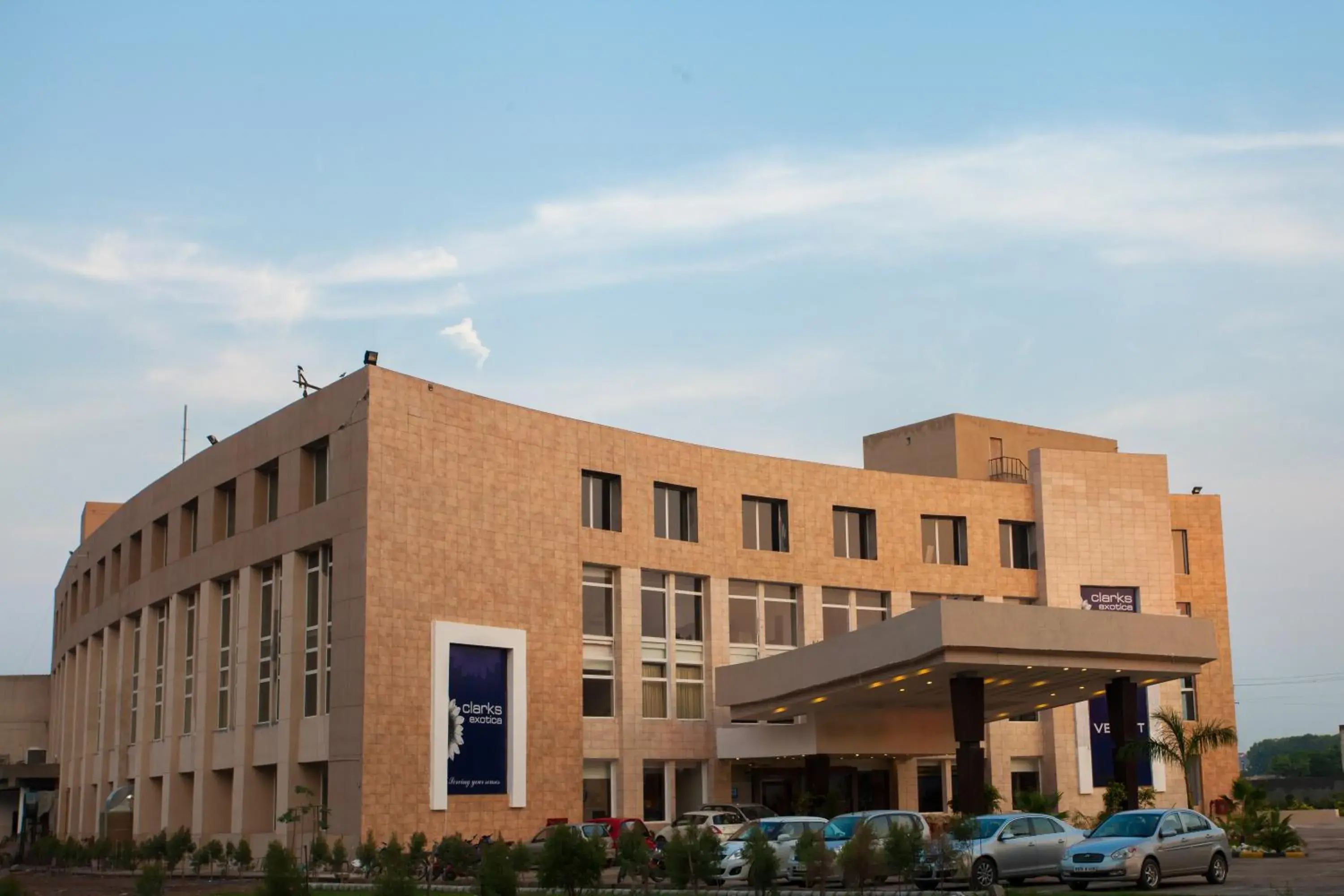 Bird's eye view in Velvet Clarks Exotica Bird's eye view in Velvet Clarks Exotica