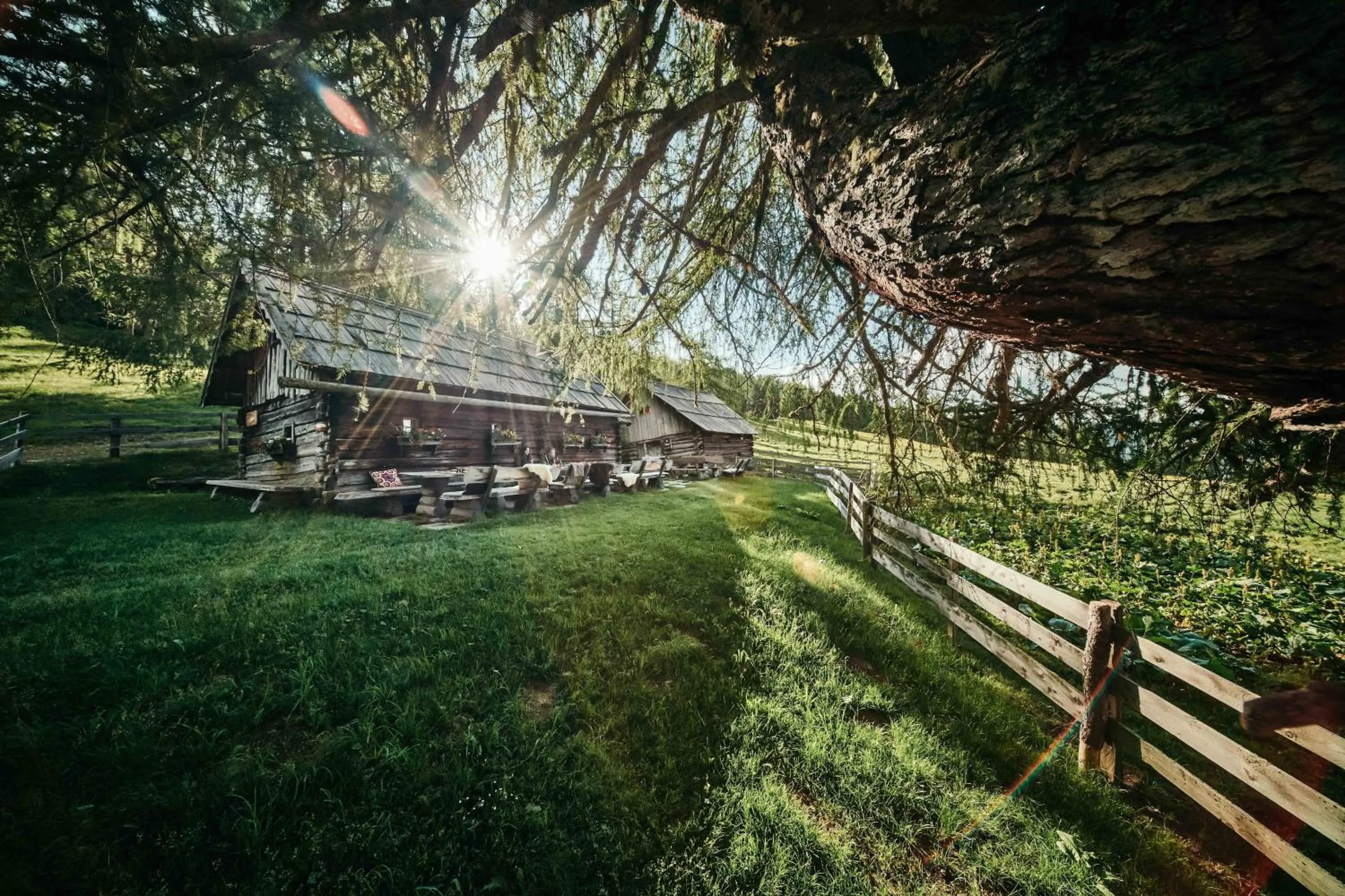 Natural landscape in Hotel Hochschober