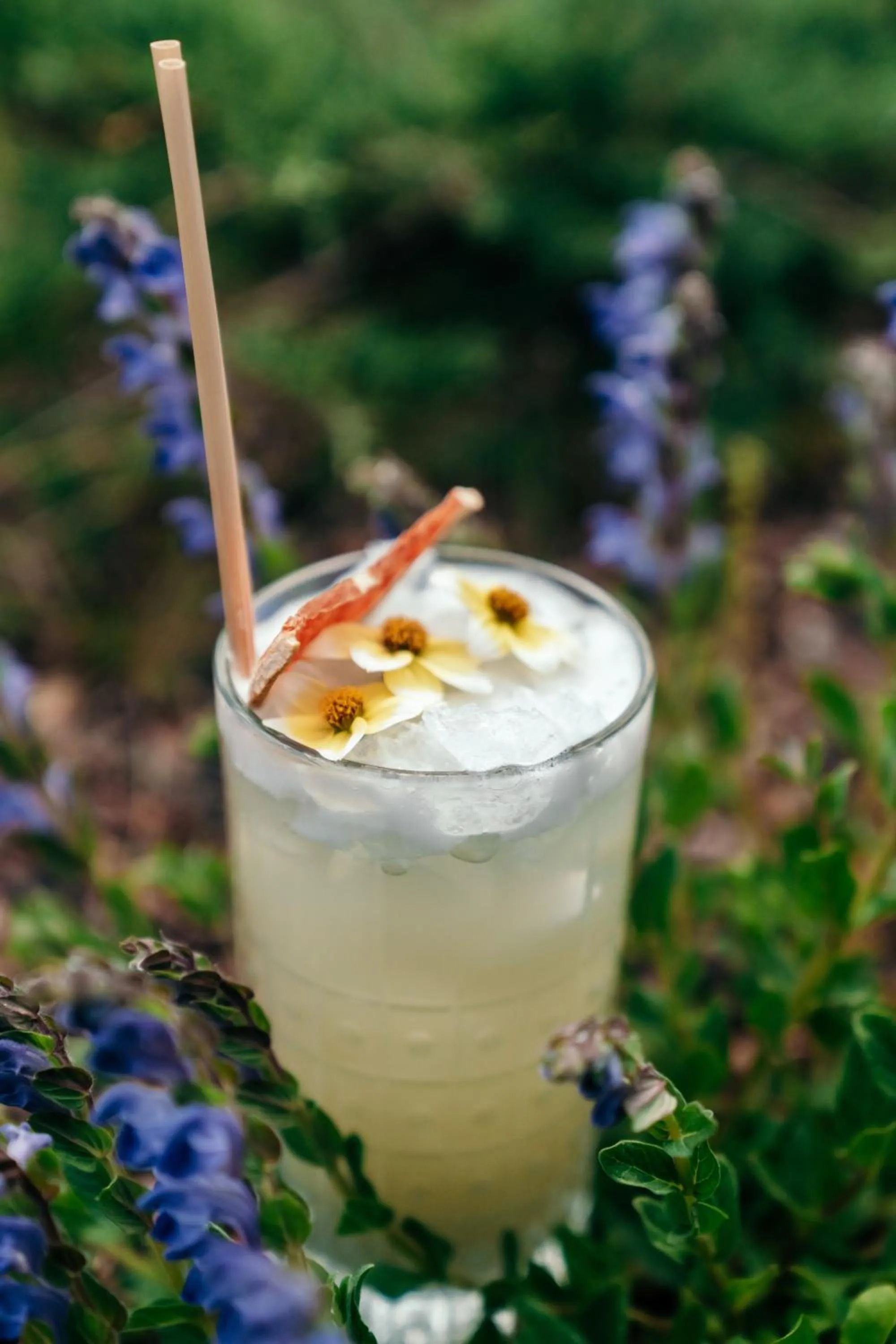 Food and drinks in Hotel Hochschober