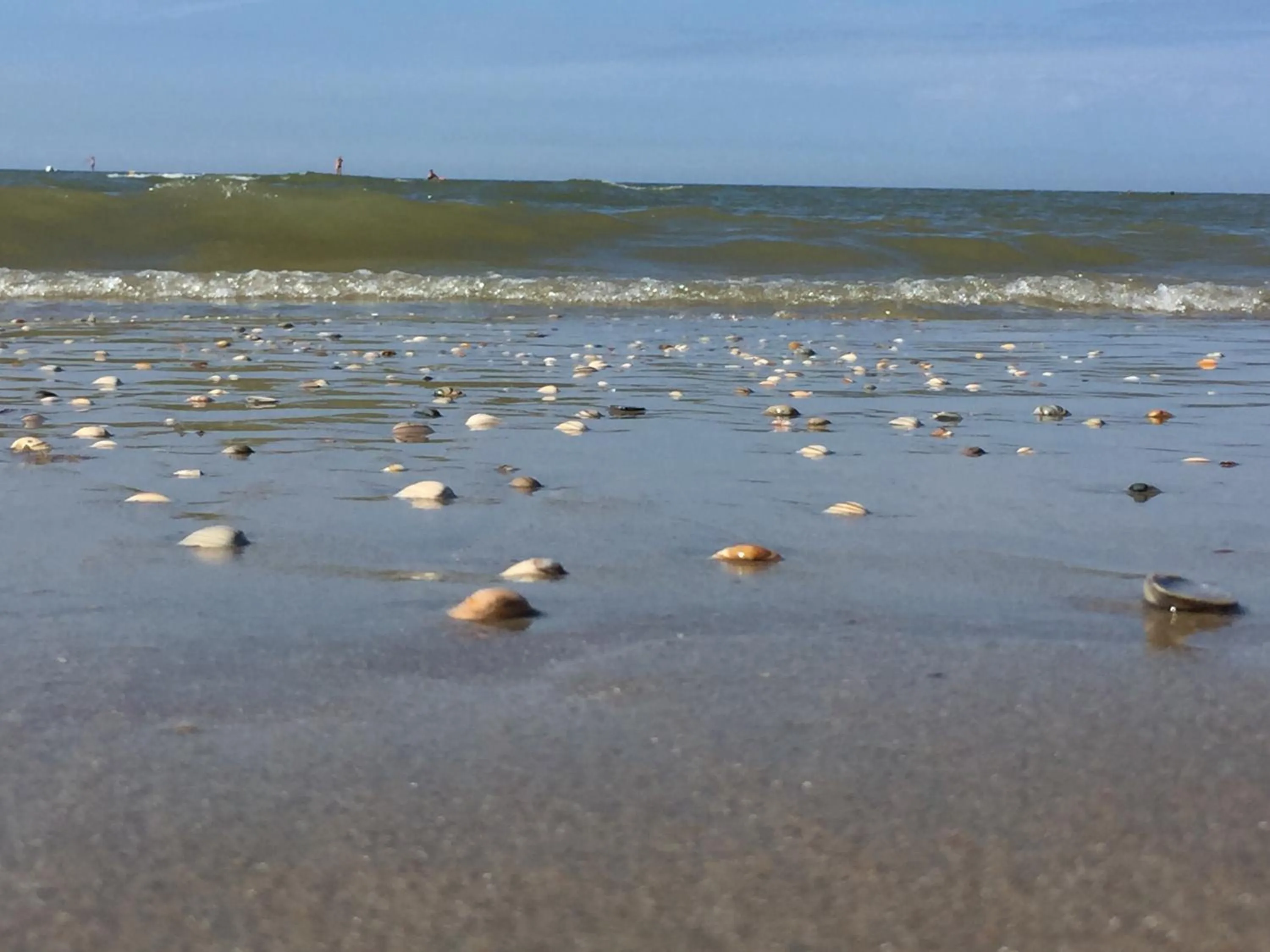 Beach in SEA YOU Hotel Noordwijk