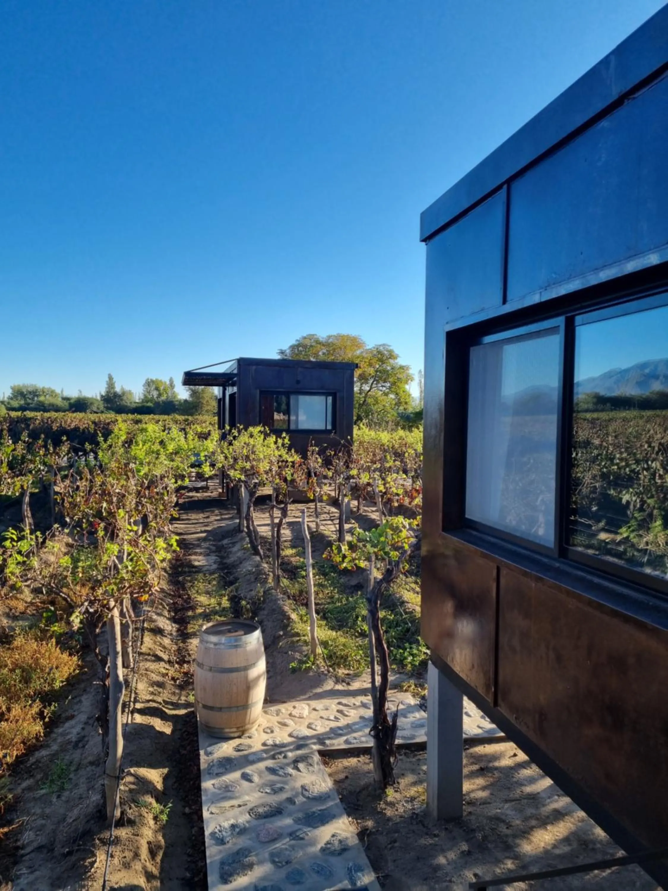 El Porvenir Wine Lodge