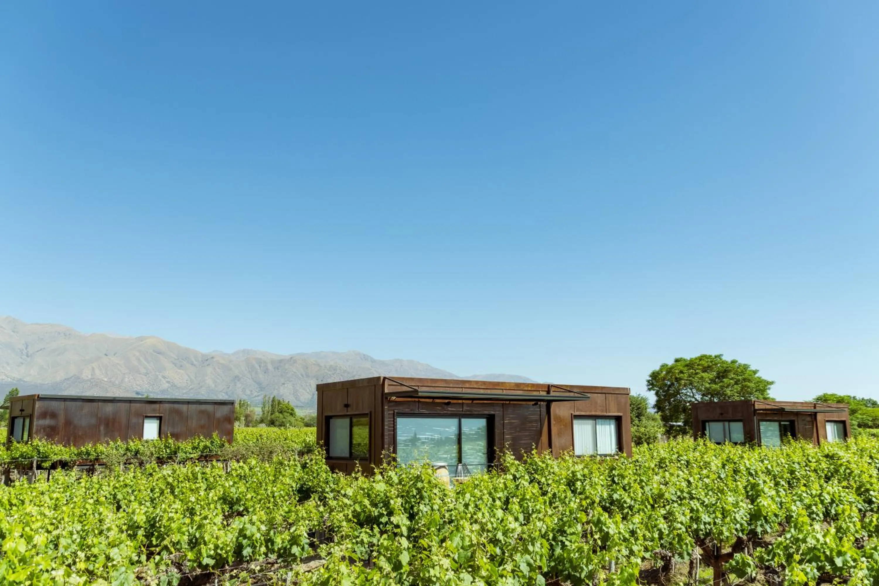 Deluxe in El Porvenir Wine Lodge