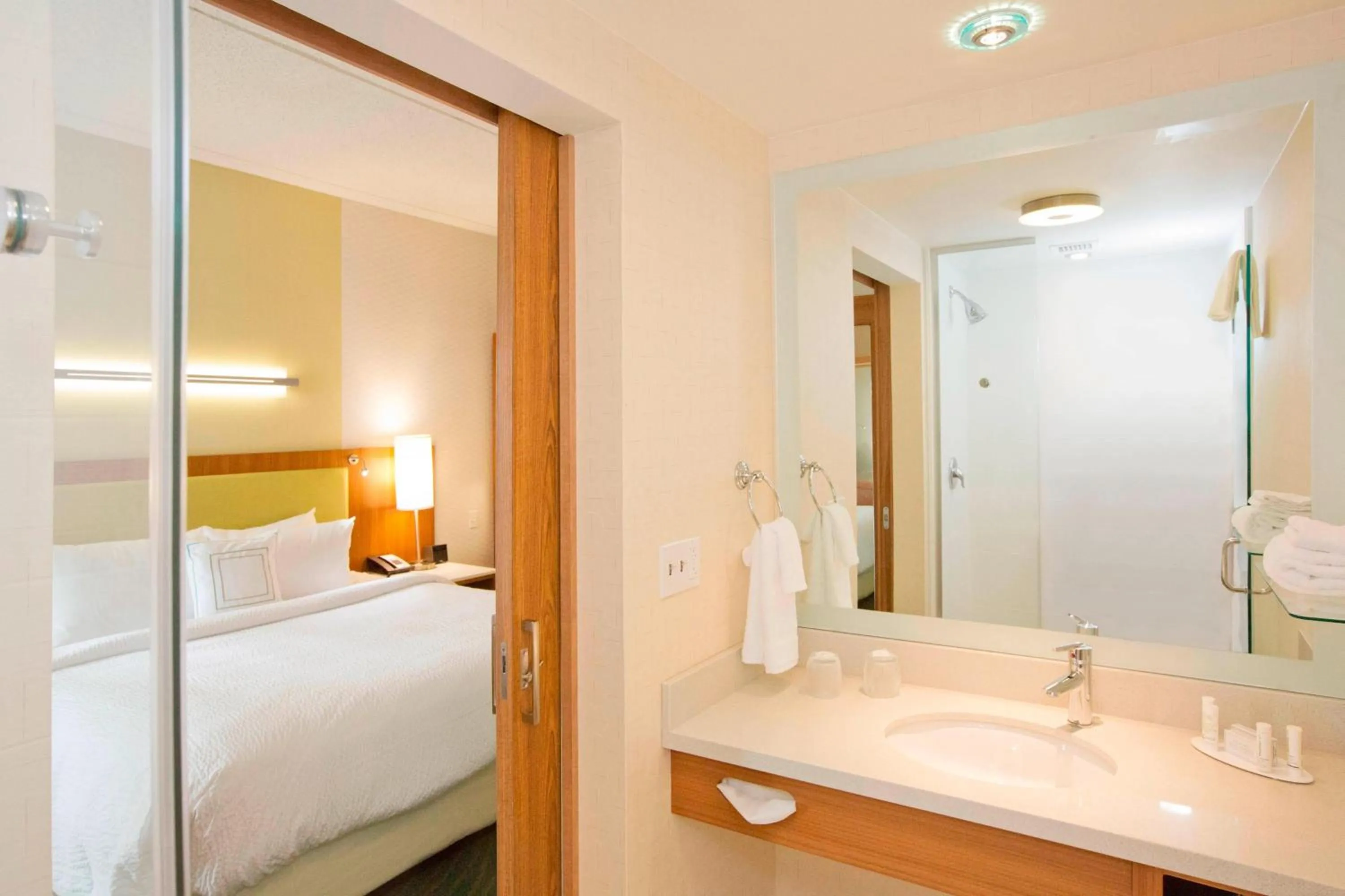 Bathroom, Bed in SpringHill Suites by Marriott Pittsburgh Mt. Lebanon