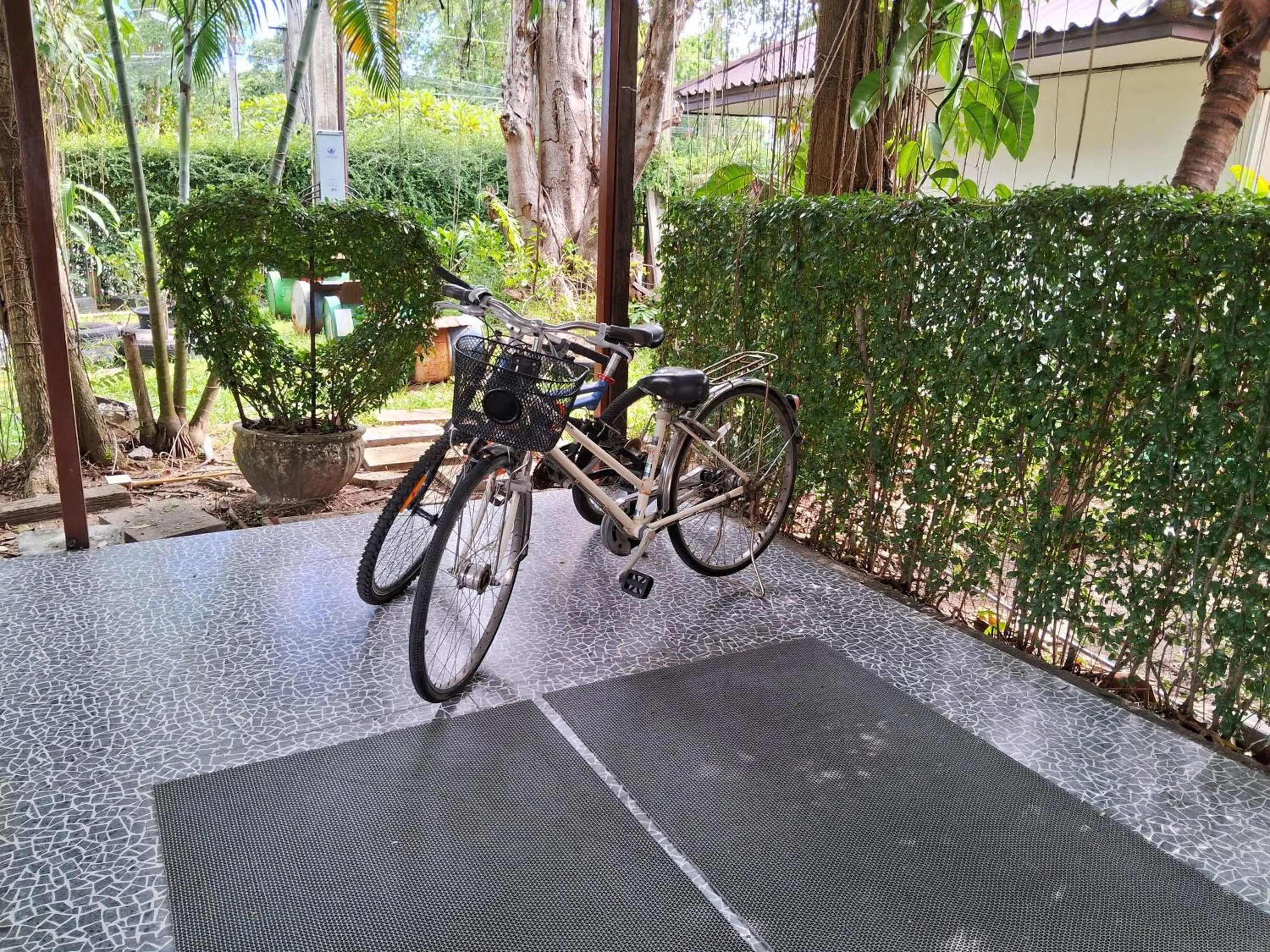 Cycling in At Samui Haus