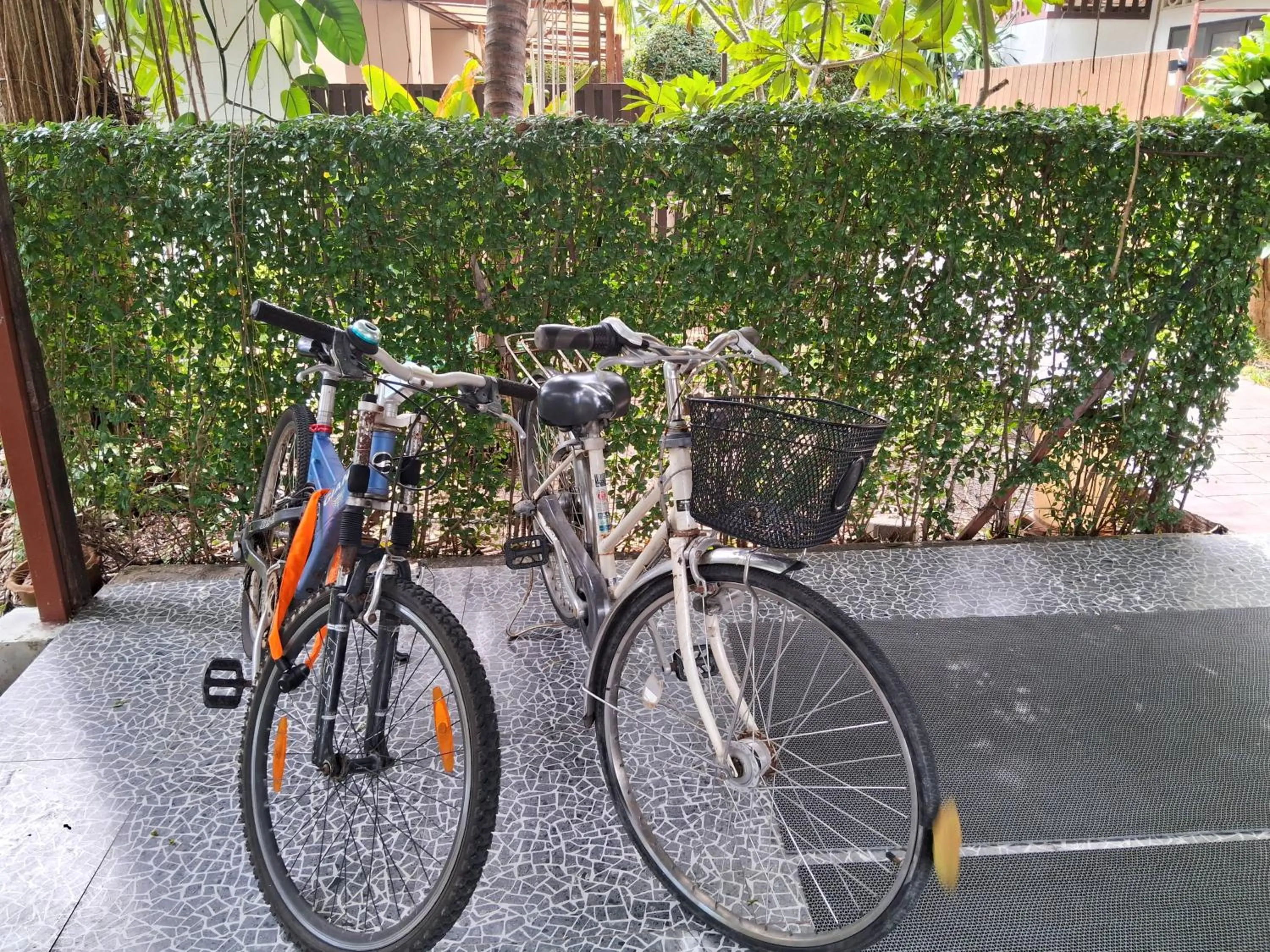 Cycling in At Samui Haus