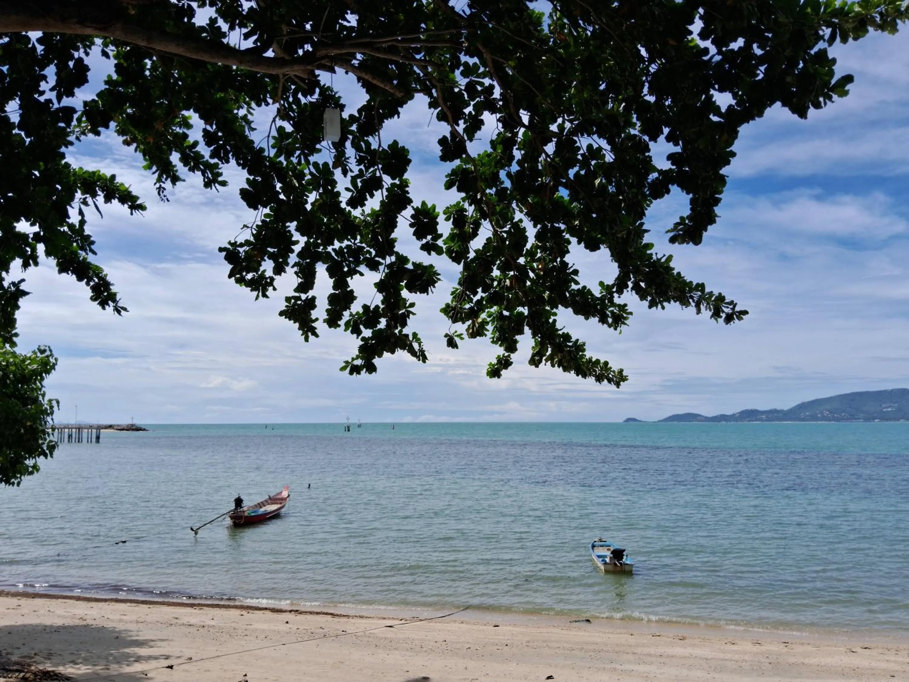 Natural landscape in At Samui Haus