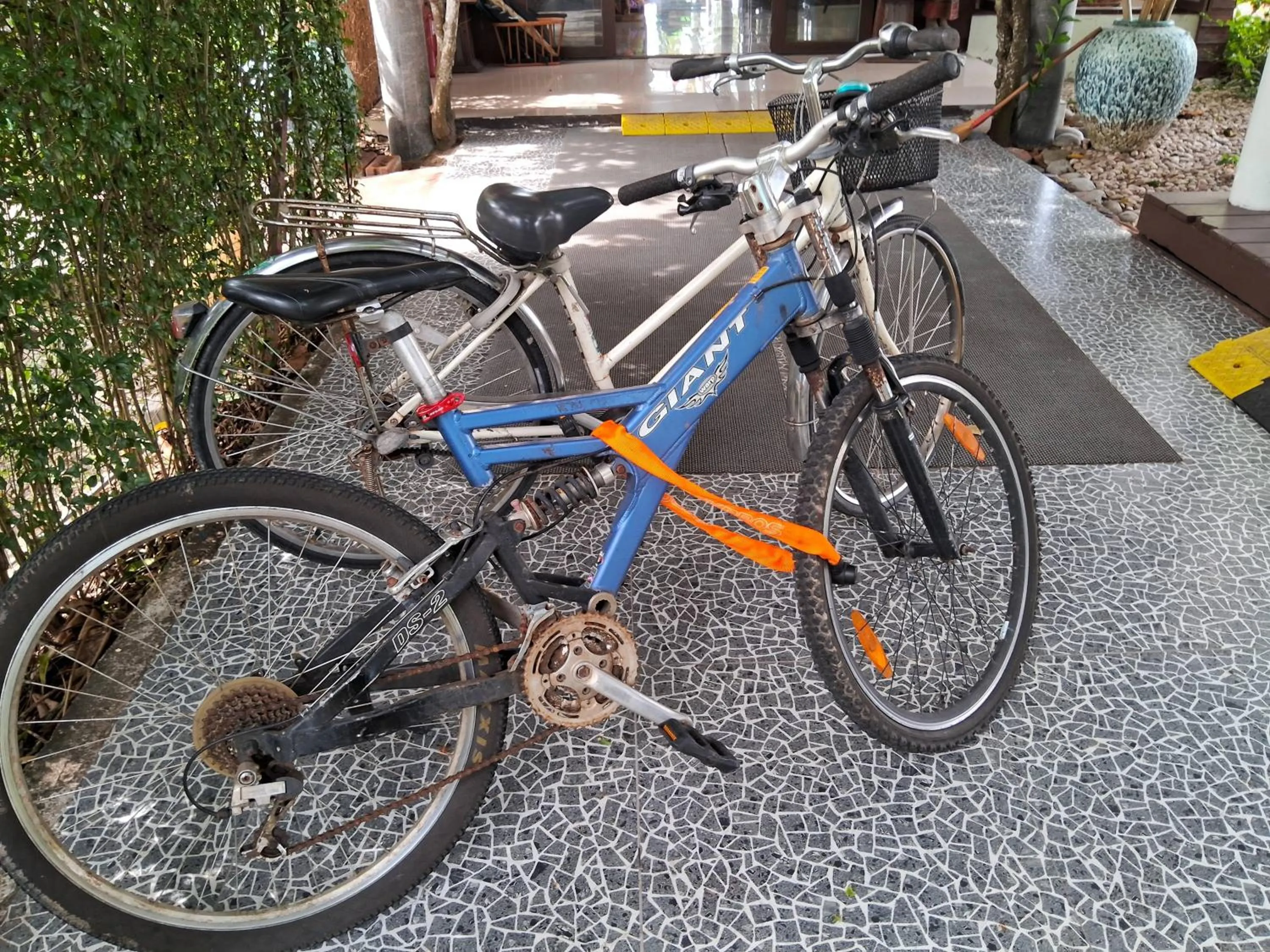 Cycling in At Samui Haus