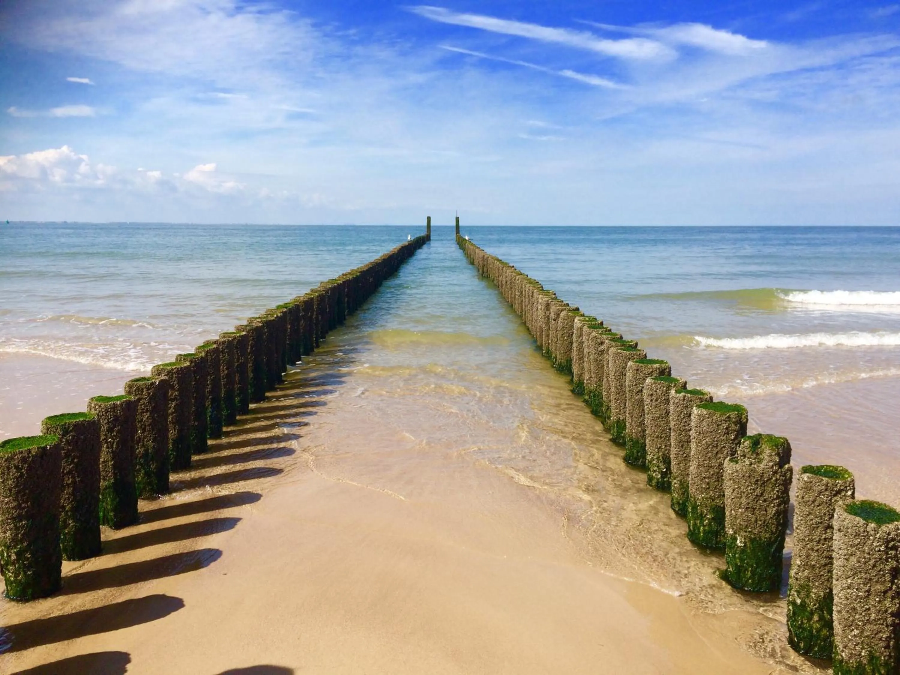 Beach in Beach Hotel I Kloeg Collection