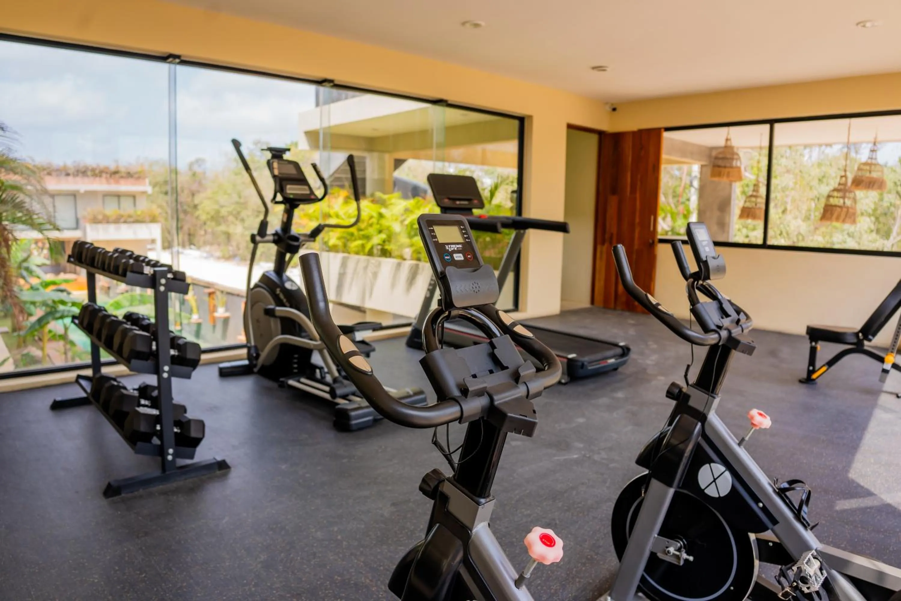 Garden view in Xamira Tulum Studios