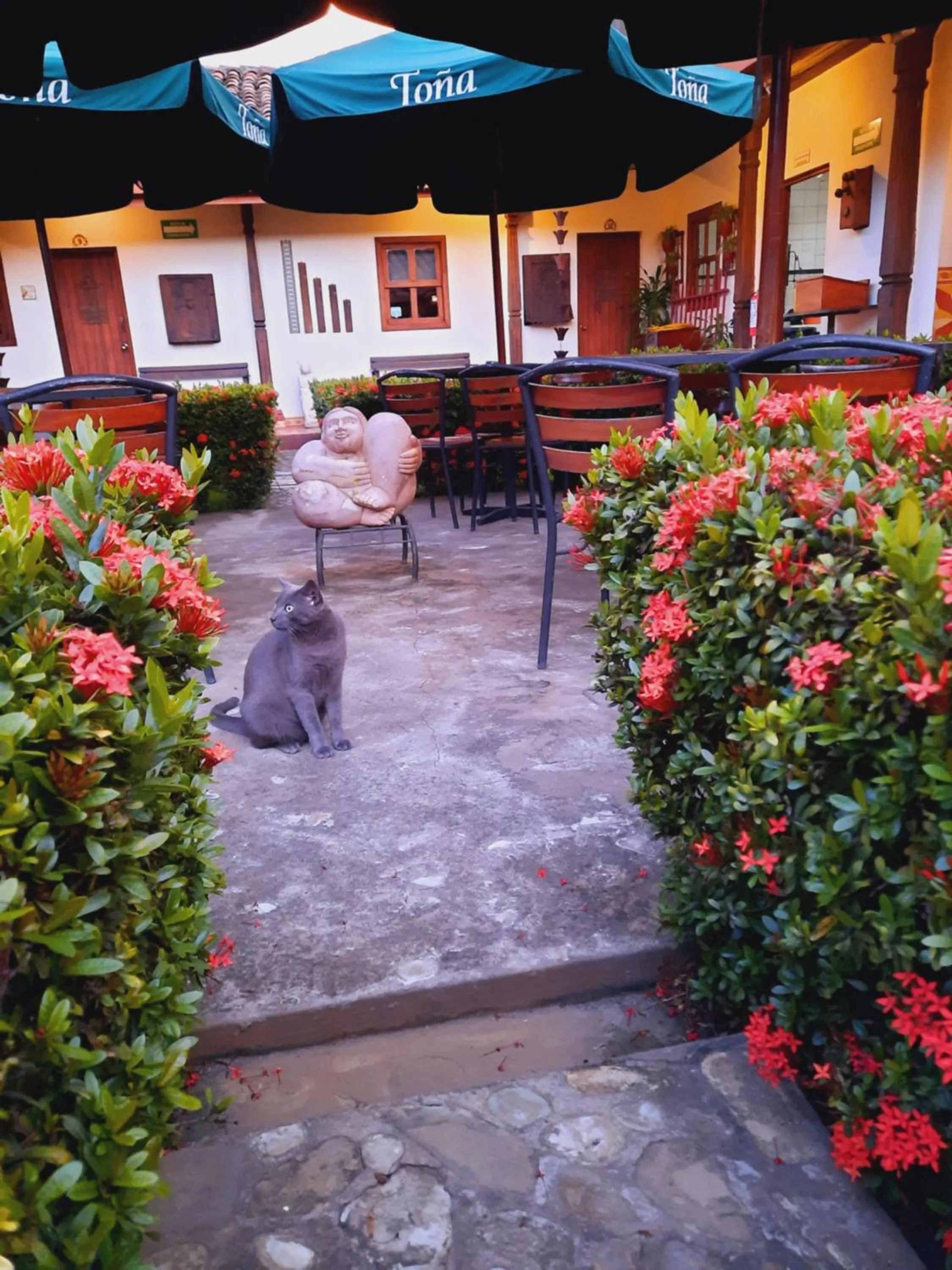 Property building in Hotel La Posada del Doctor