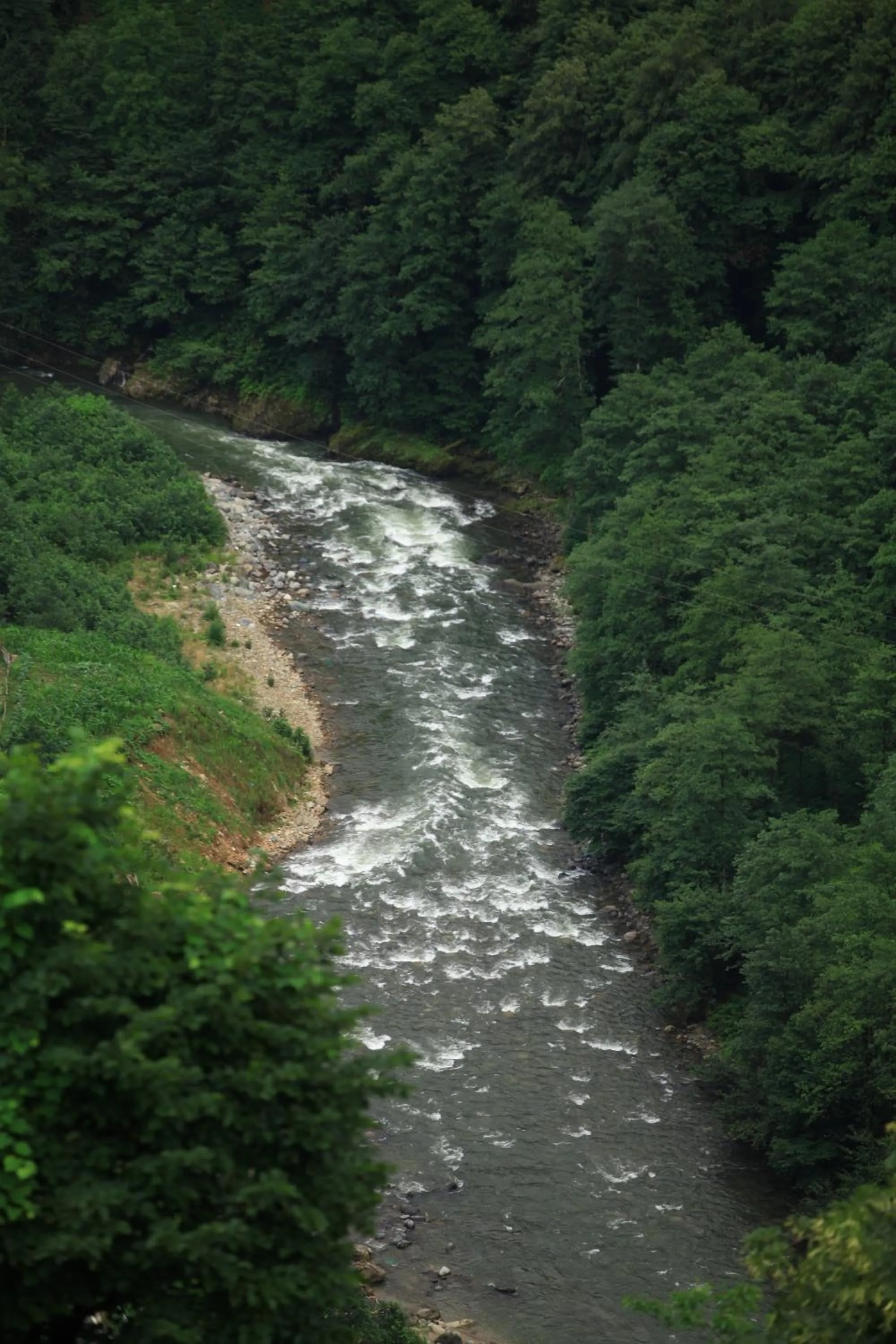 Kinya Bungalov Hotel