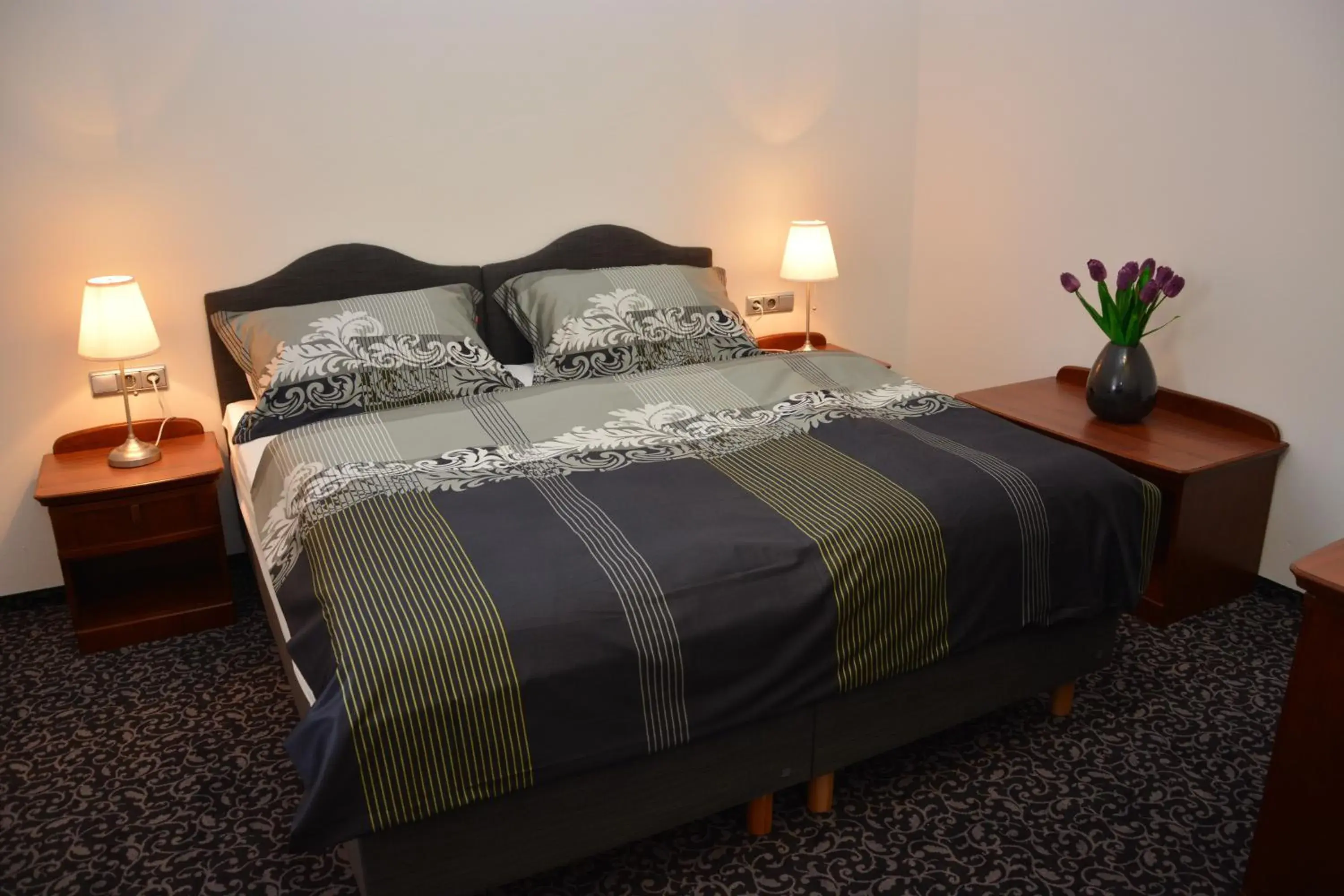 Suite in Hotel Zámek Velká Bystřice Suite in Hotel Zámek Velká Bystřice