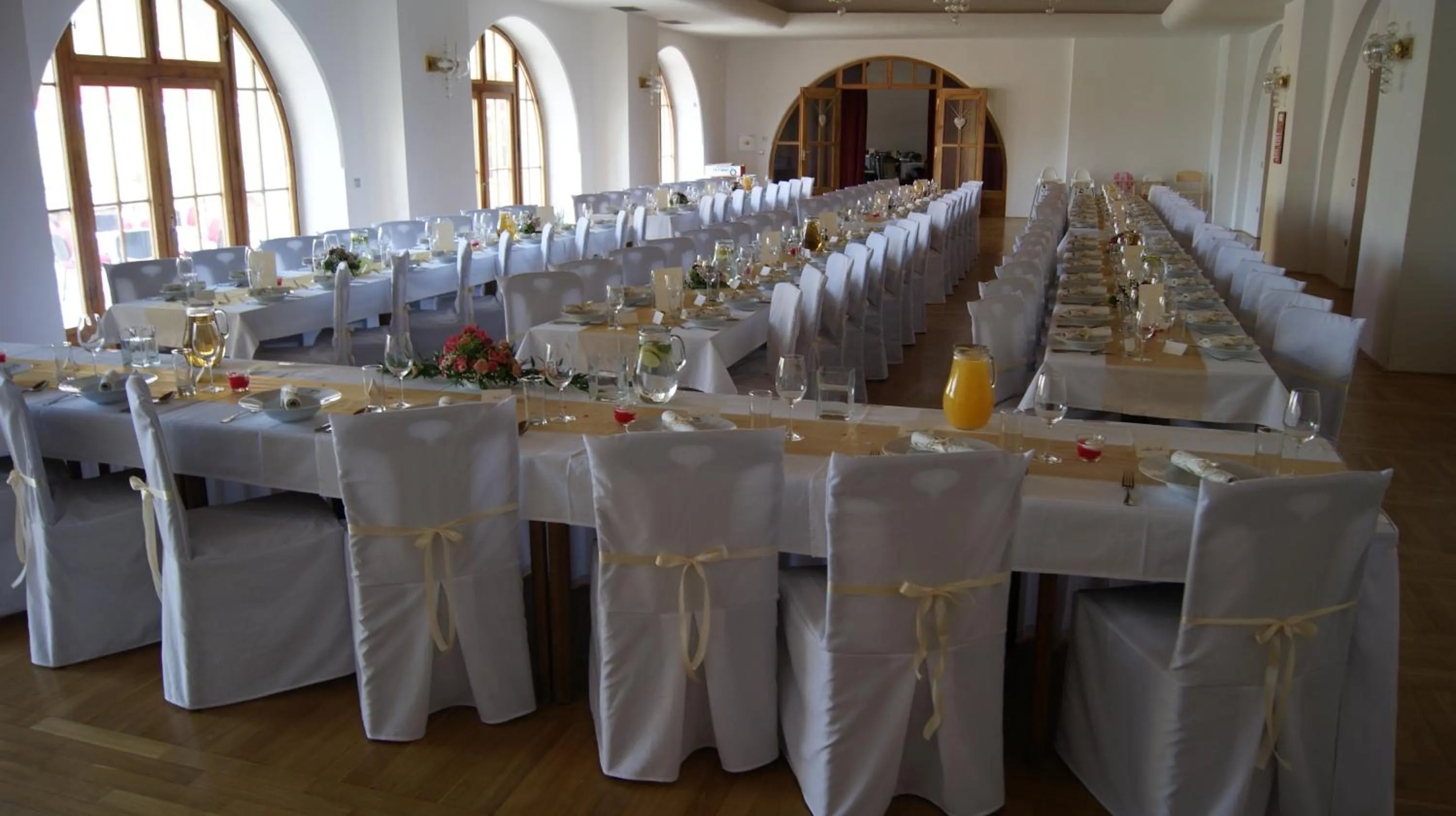 Banquet/Function facilities in Hotel Zámek Velká Bystřice