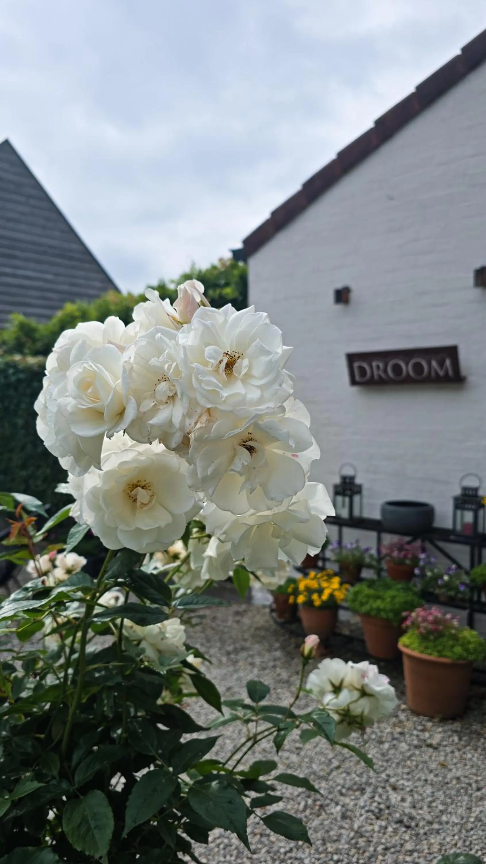 Property building in Boutique B&B Droomkerke