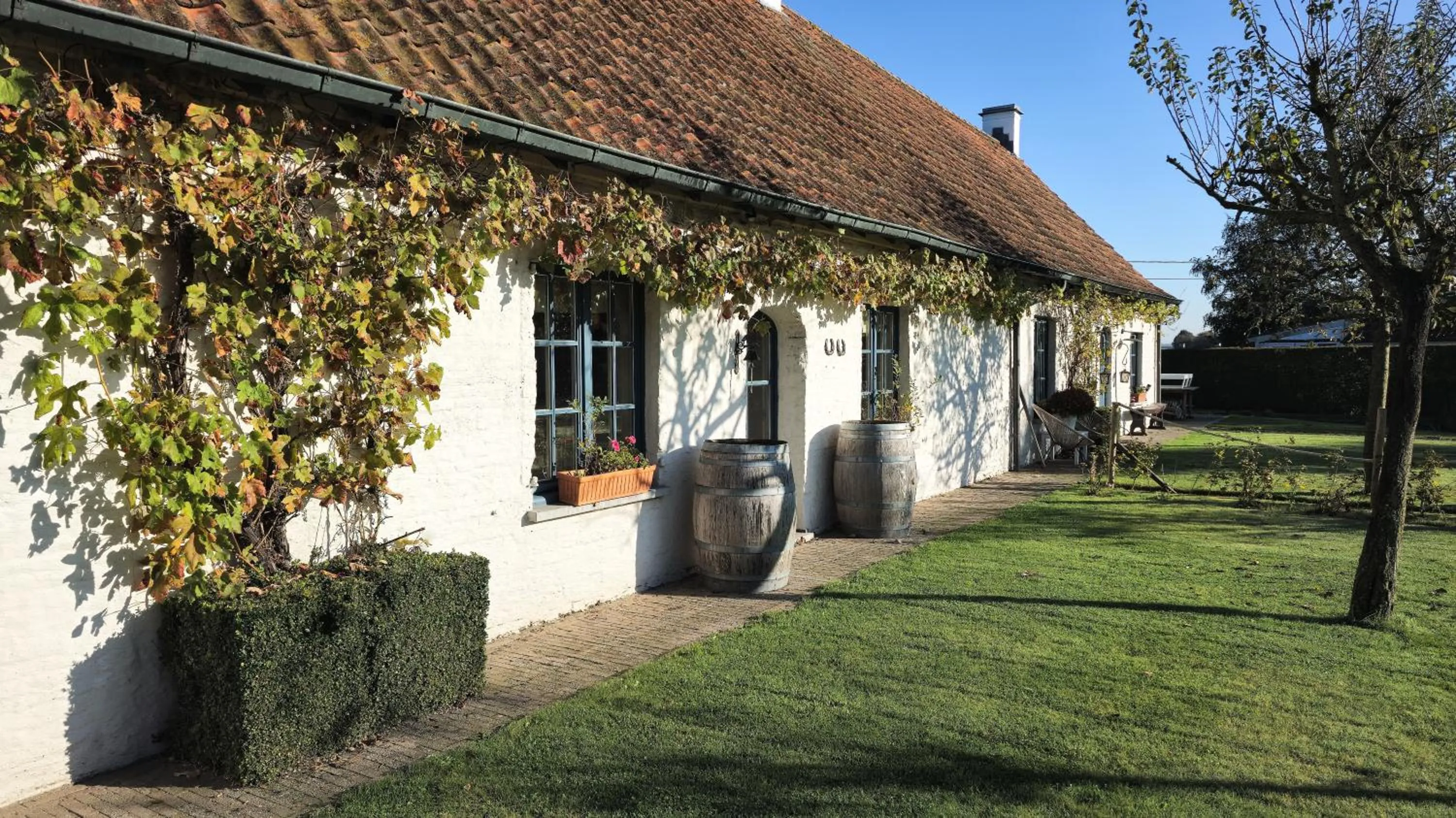 Garden in Boutique B&B Droomkerke