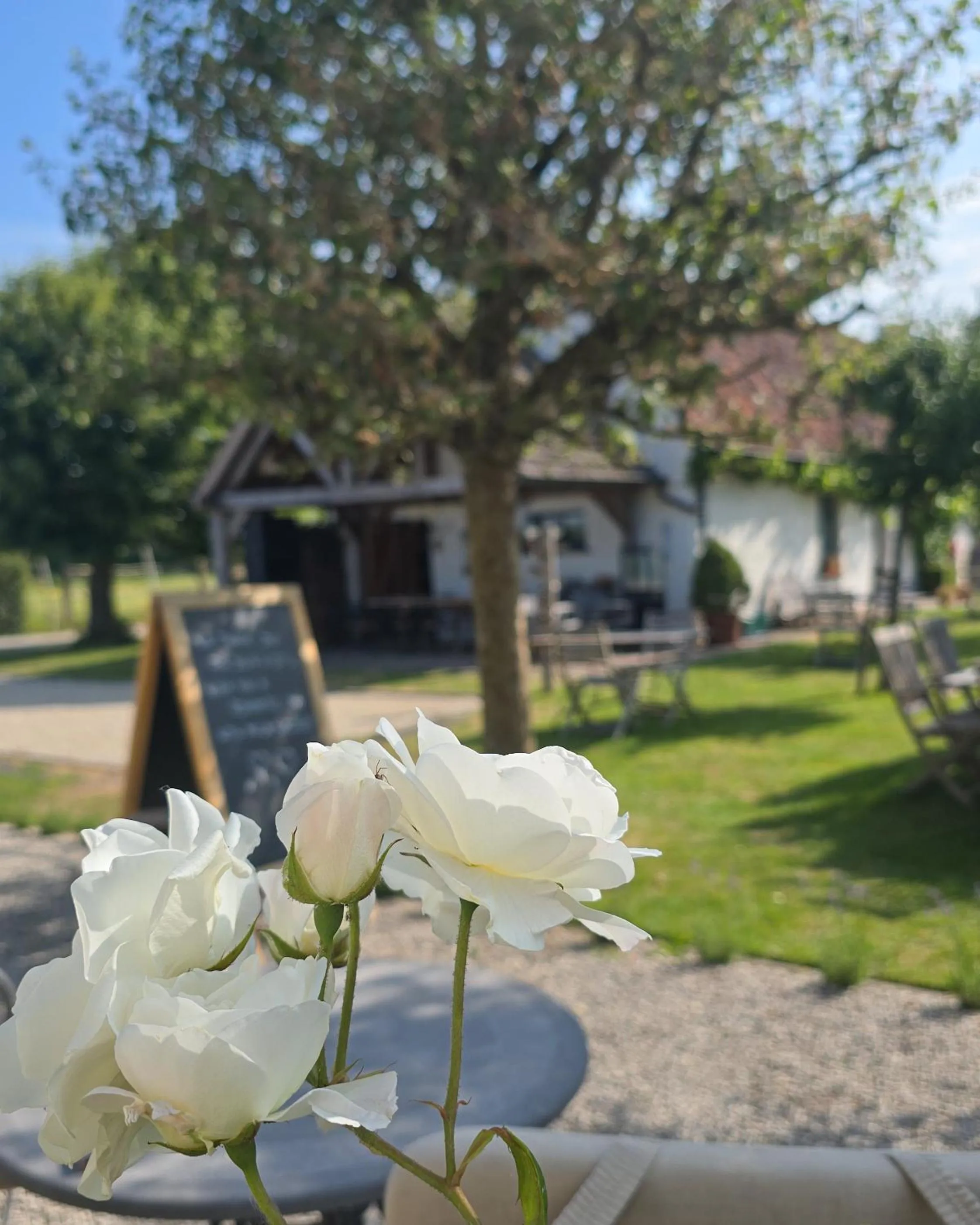 Garden in Boutique B&B Droomkerke
