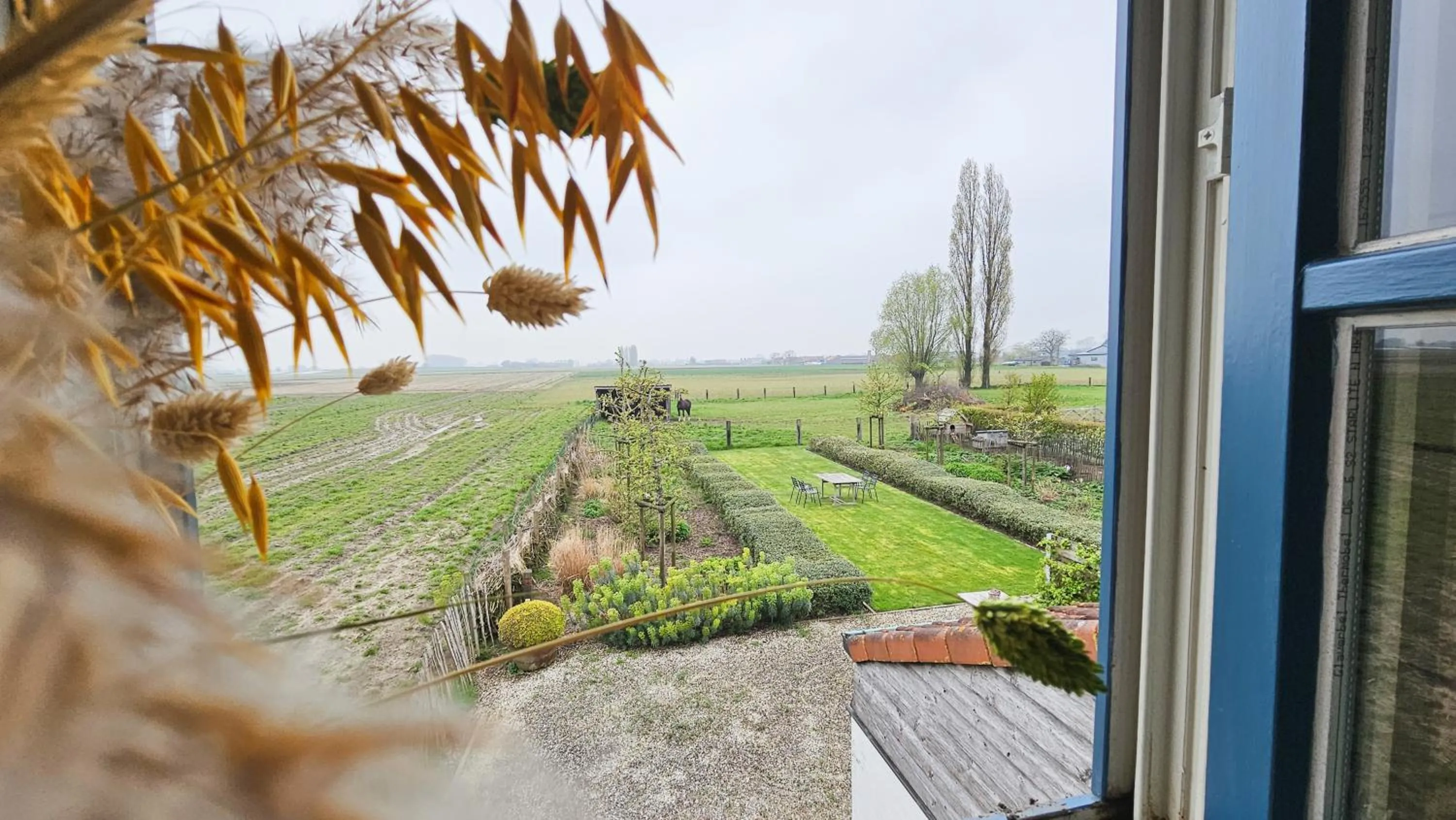 Garden in Boutique B&B Droomkerke