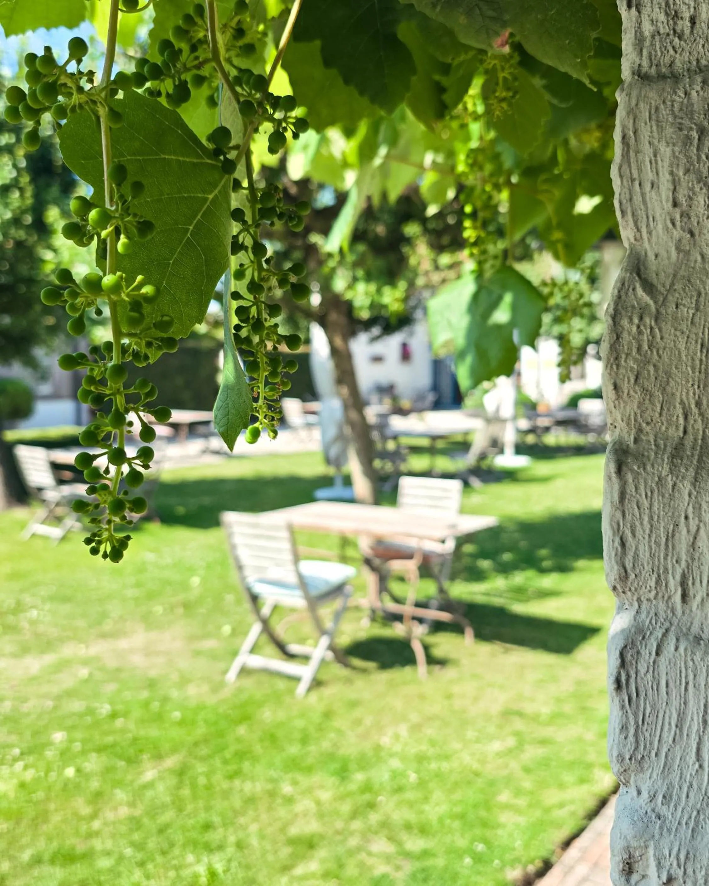 Garden in Boutique B&B Droomkerke