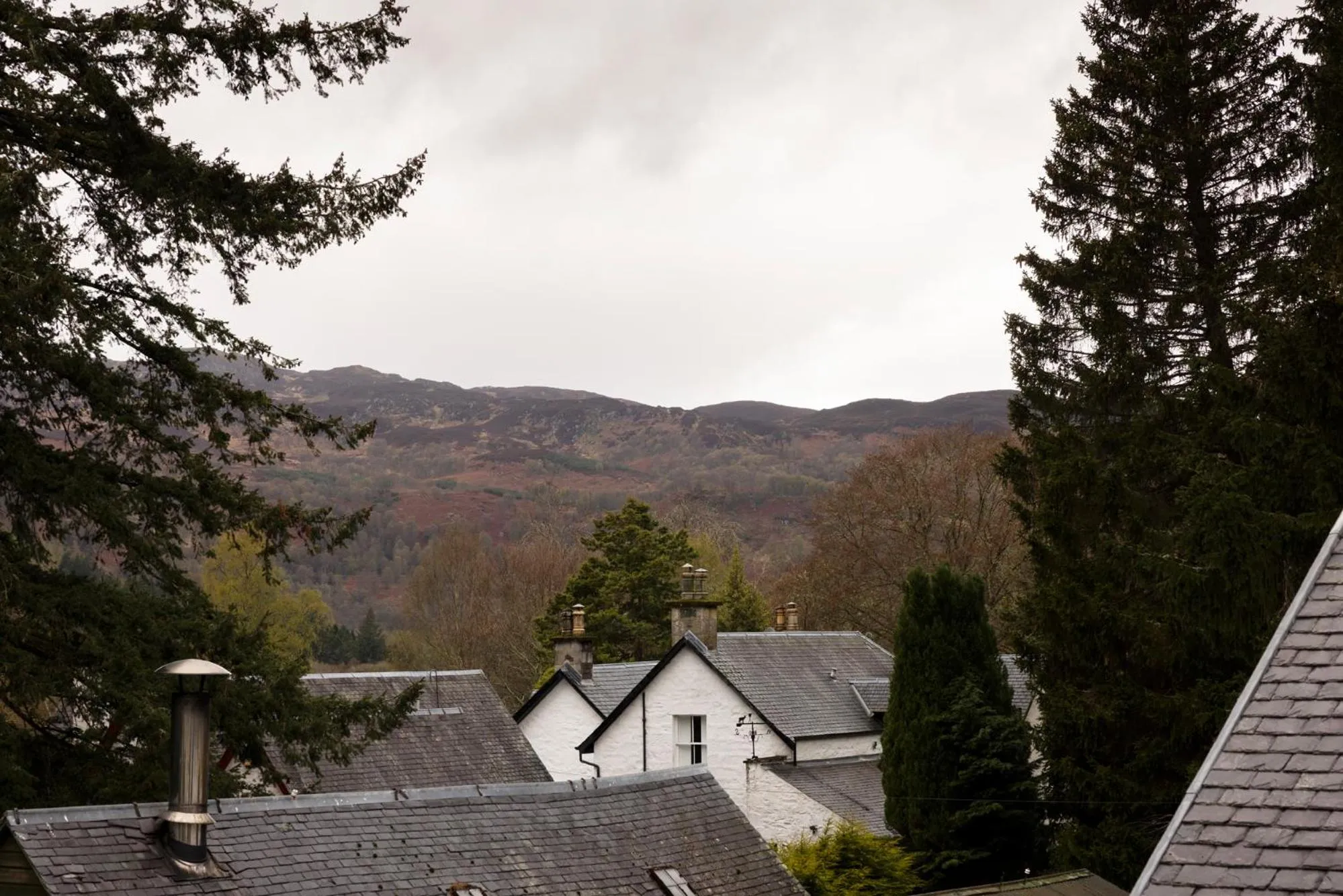 Natural landscape in Pine Trees Hotel Pitlochry