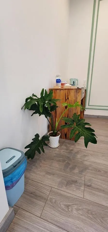 furniture in LHASA HOTEL - Central hotel in Dalat