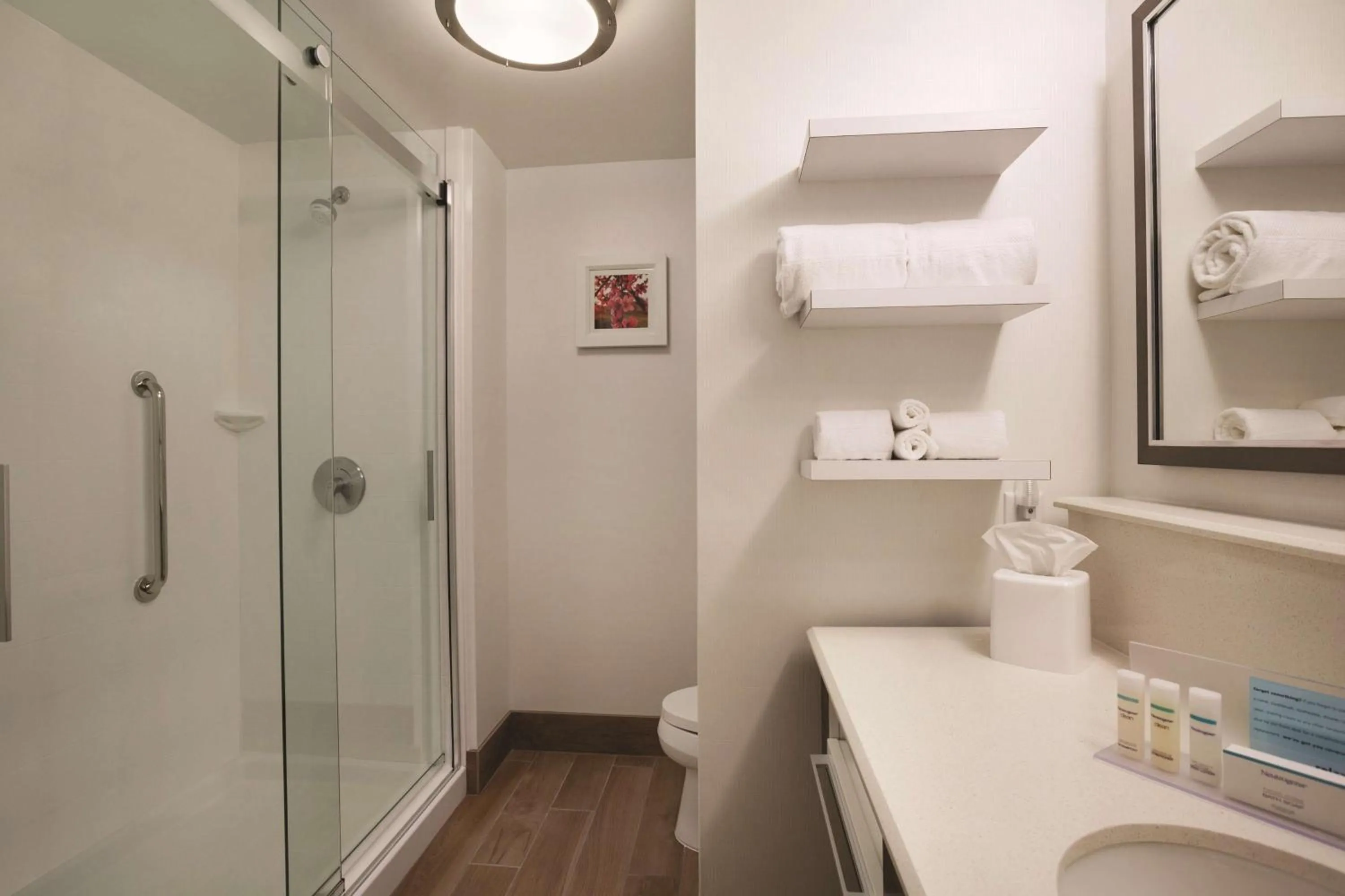 Bathroom in Hampton Inn Brigham City