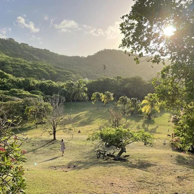 Garden in Firefly Estate Bequia