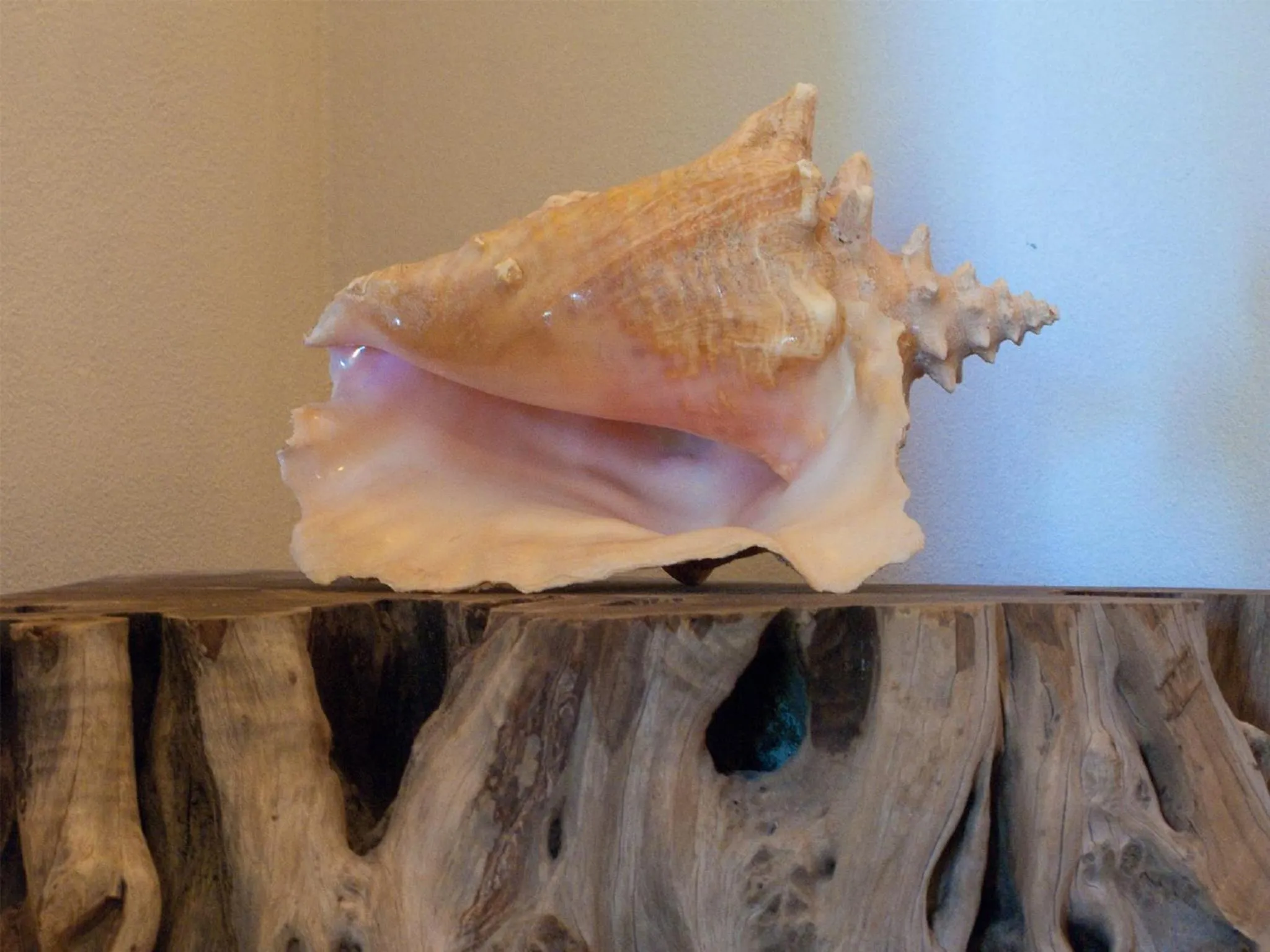 Decorative detail in Firefly Estate Bequia