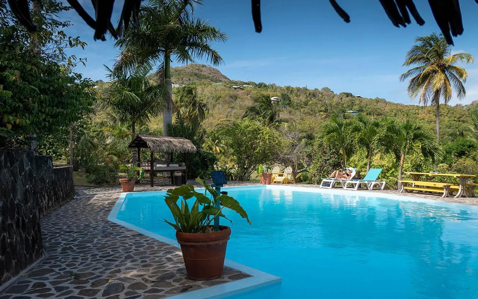 Swimming pool in Firefly Estate Bequia