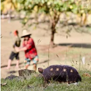 Golfcourse in Firefly Estate Bequia