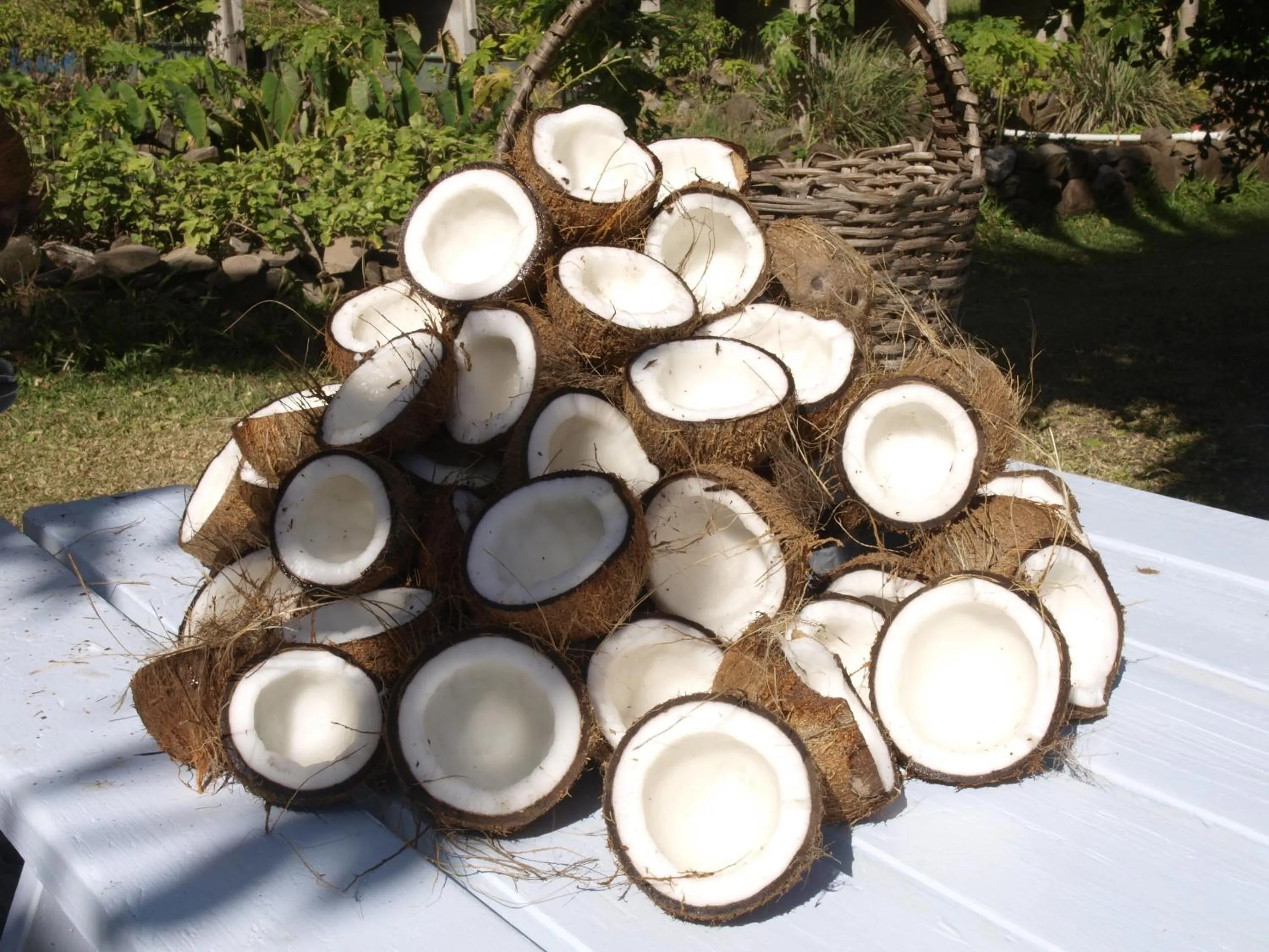 Other in Firefly Estate Bequia