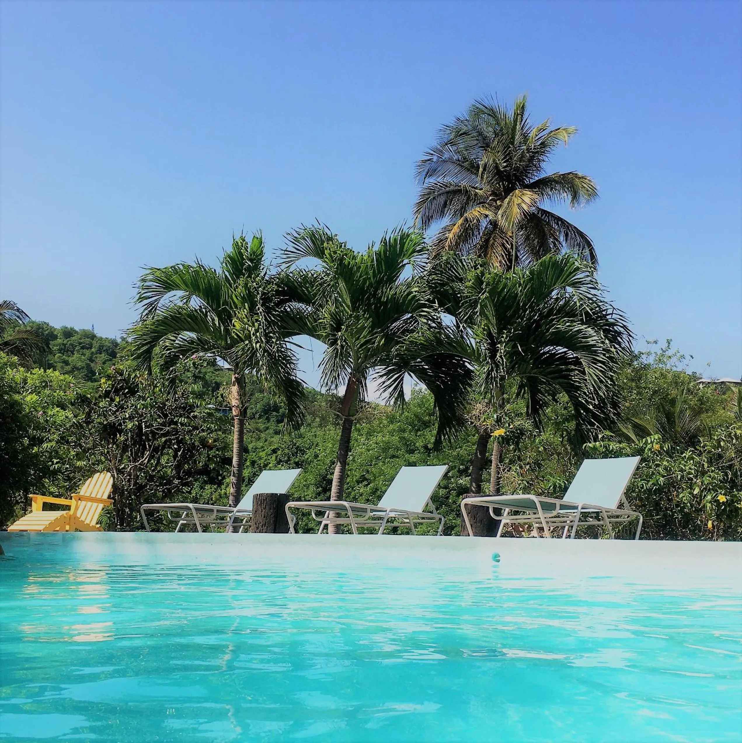 Swimming pool in Firefly Estate Bequia