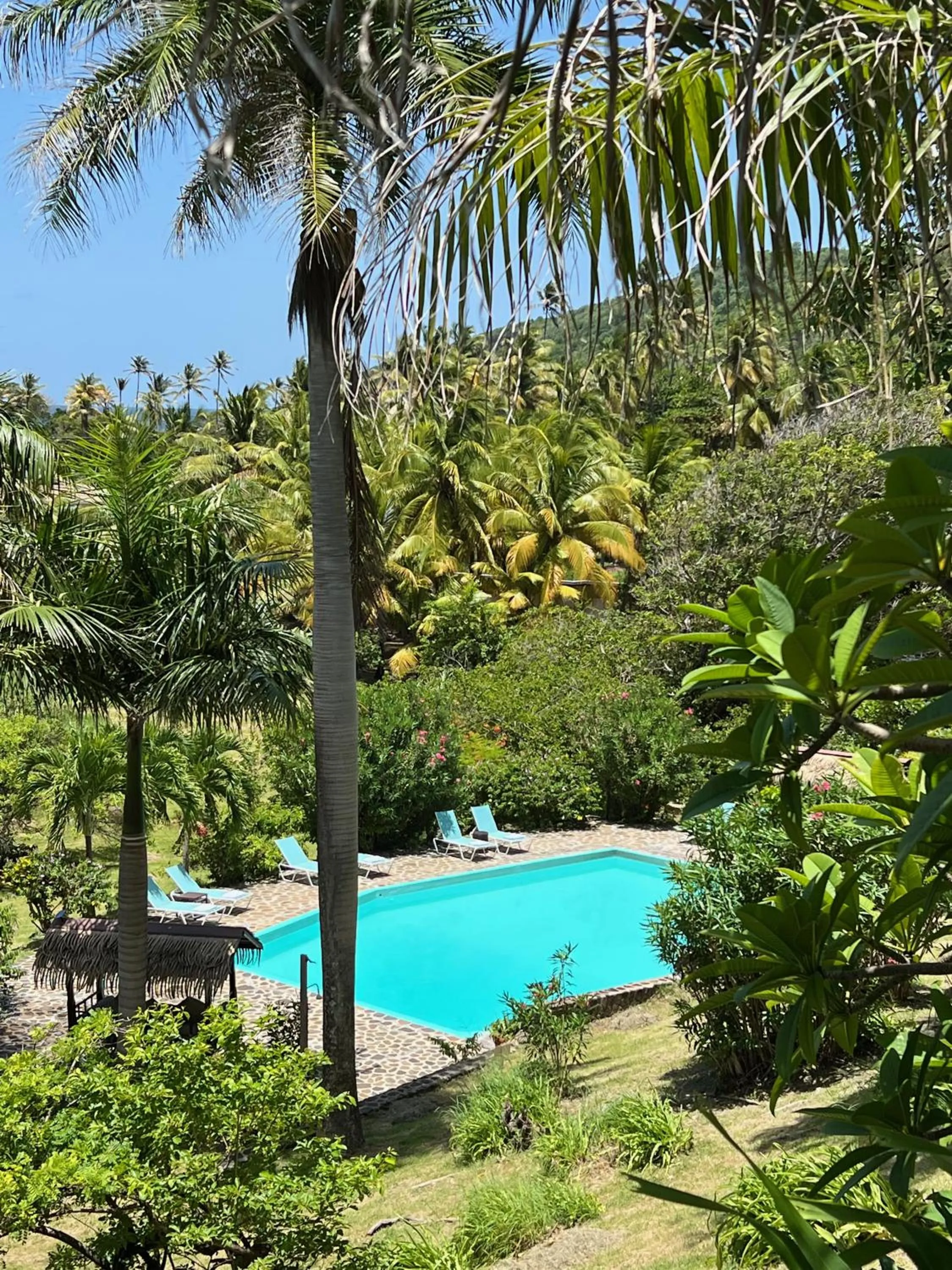 Swimming pool in Firefly Estate Bequia