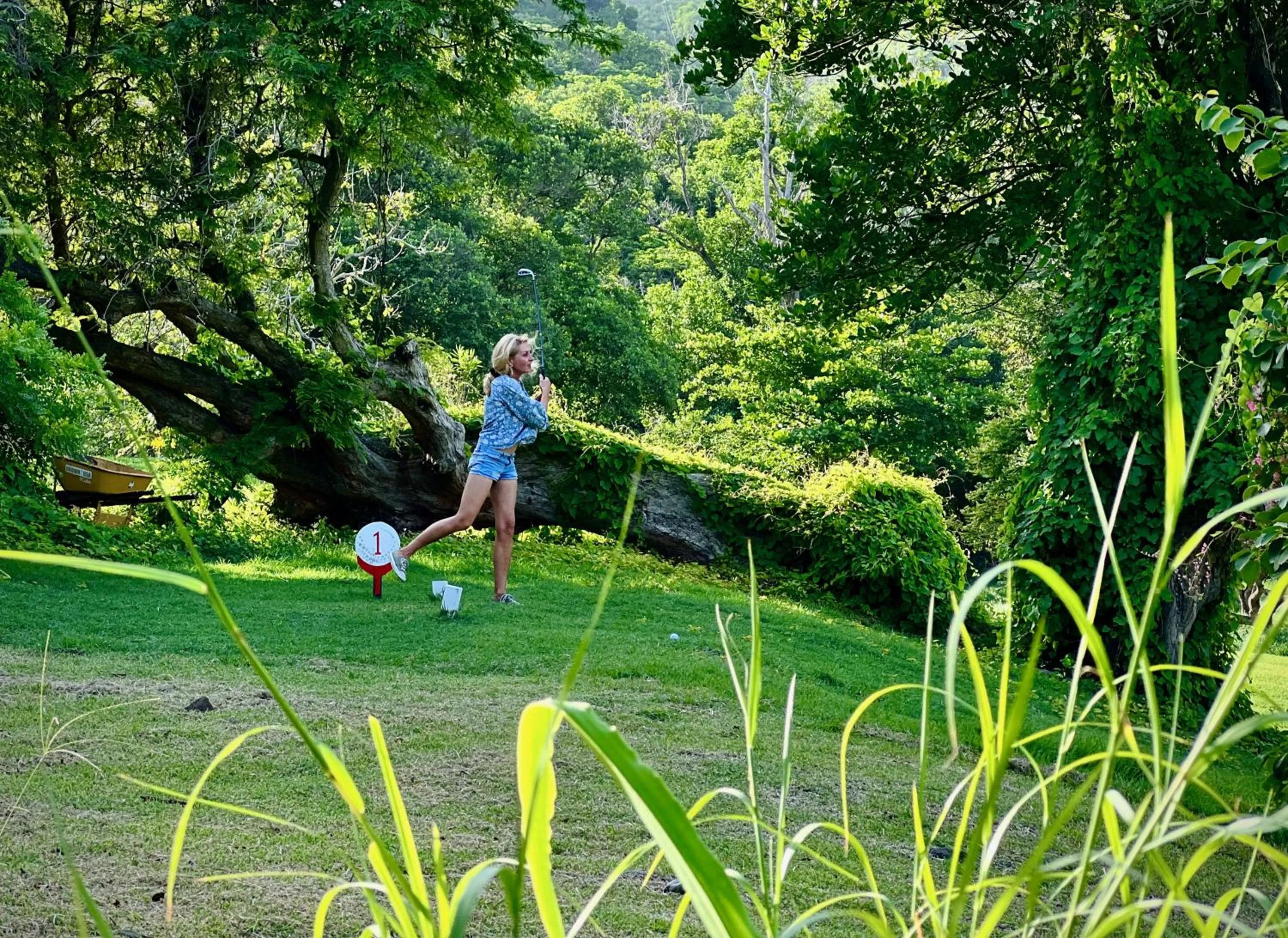 Activities in Firefly Estate Bequia