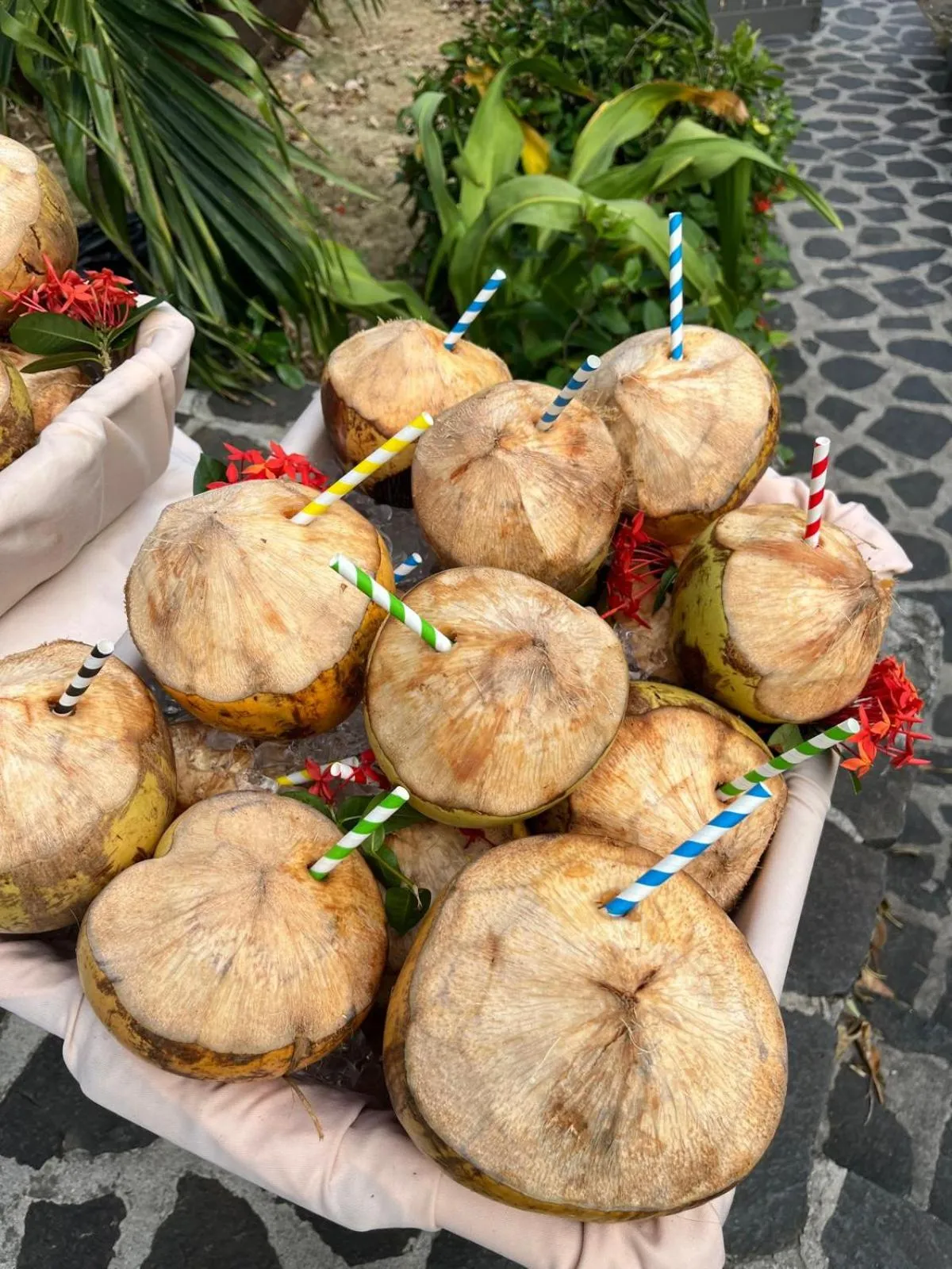 Drinks in Firefly Estate Bequia