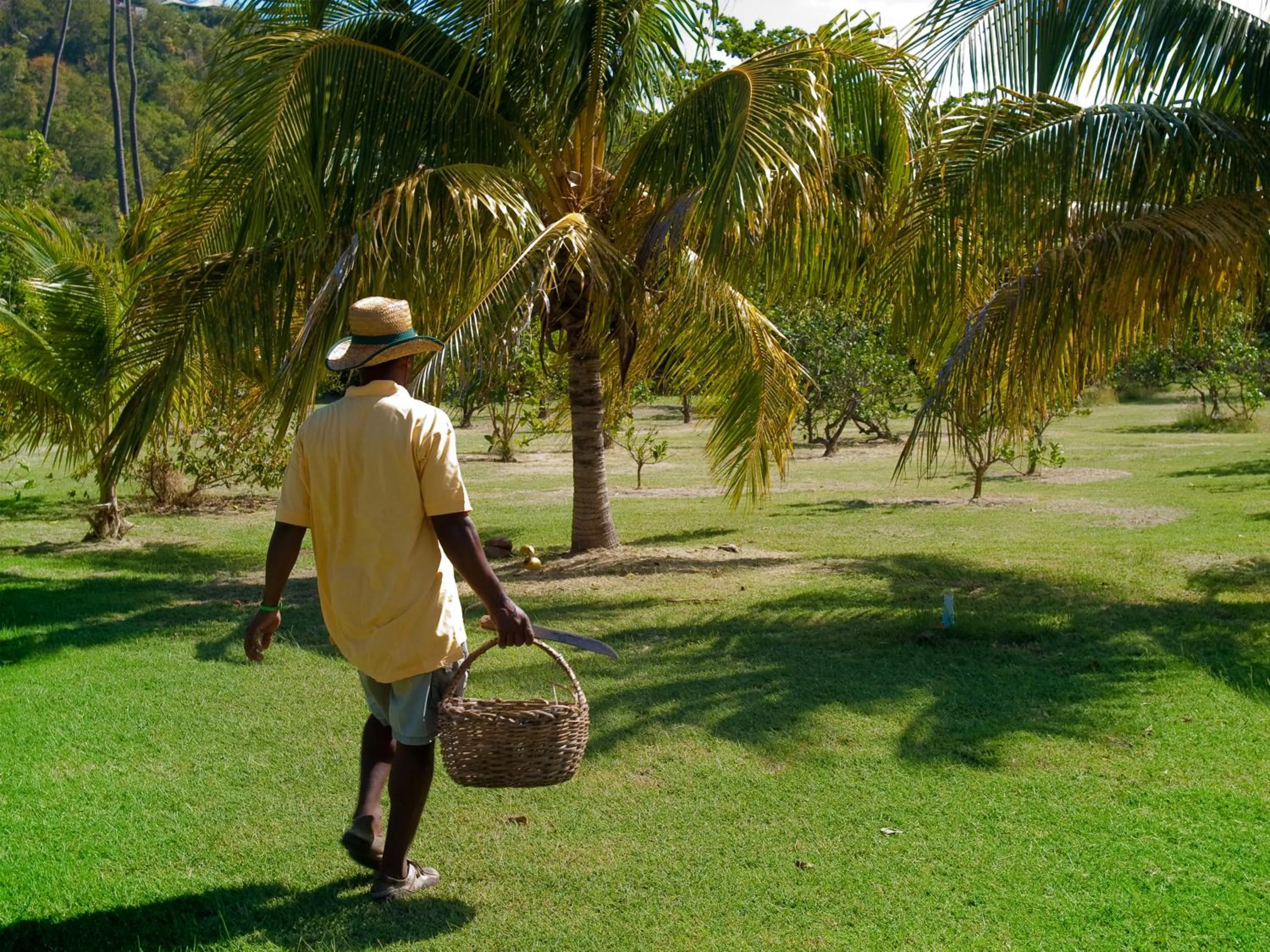 People in Firefly Estate Bequia