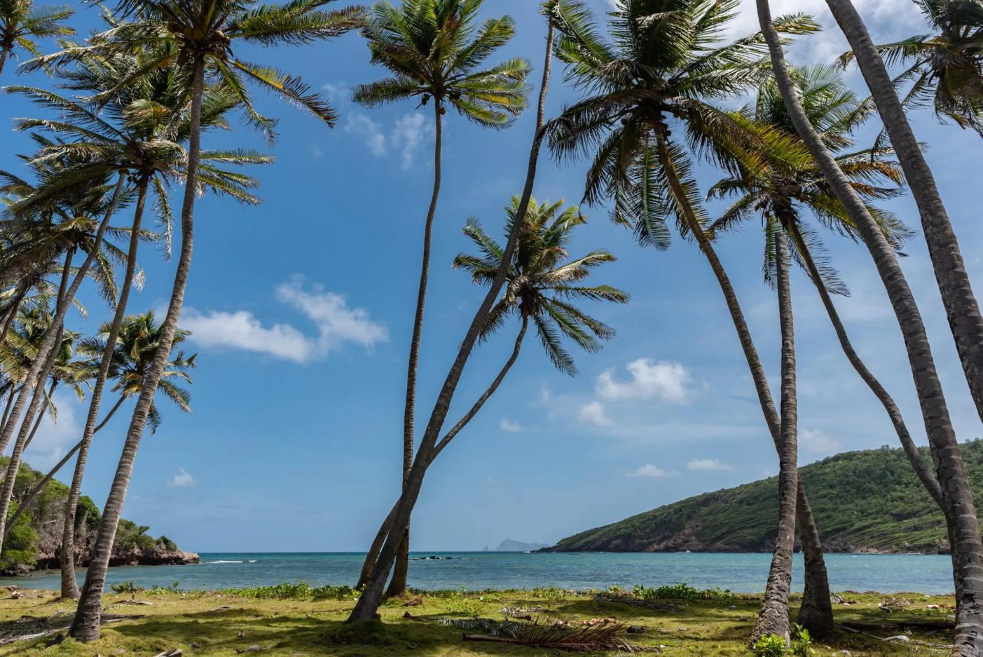 Beach in Firefly Estate Bequia