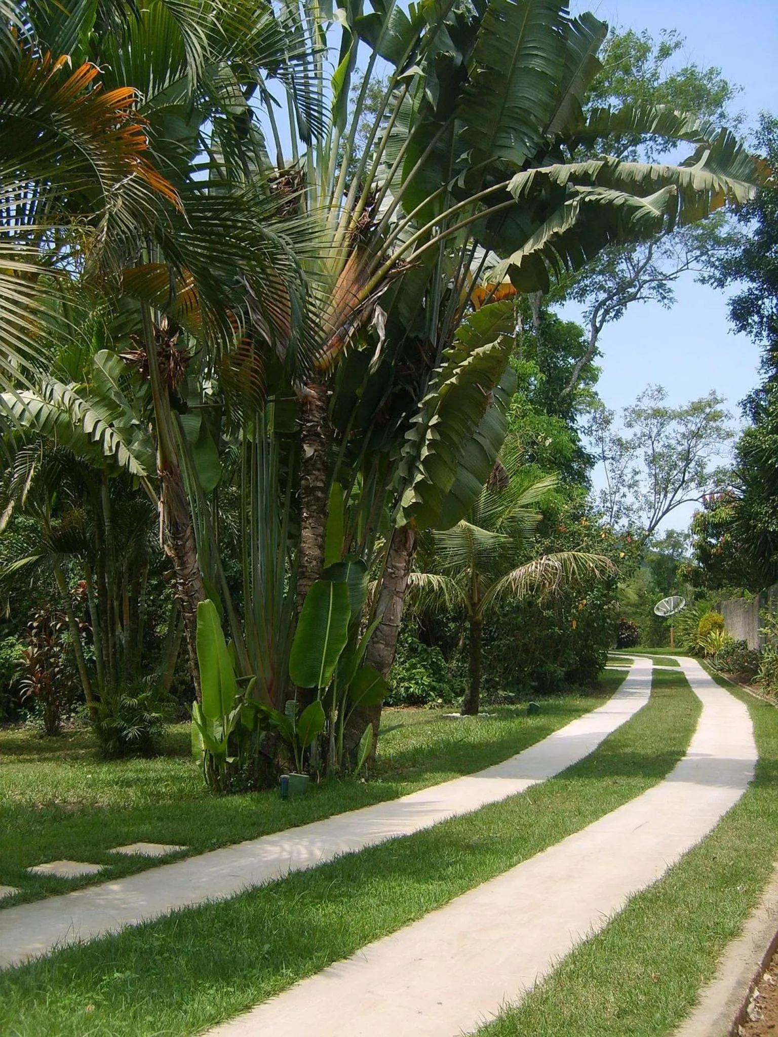 Garden in Pousada Santa Anna