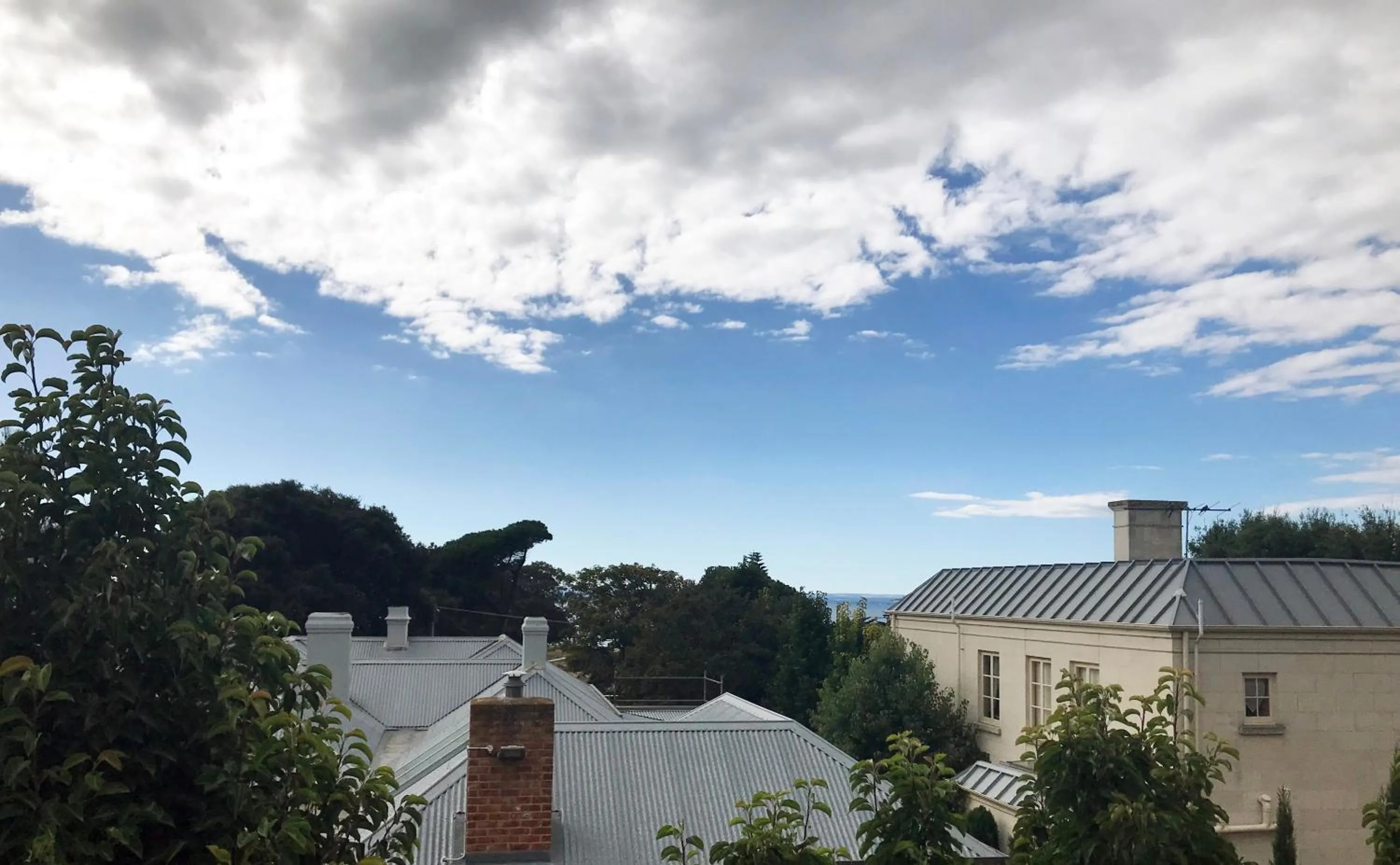 Garden view in Salt Loft