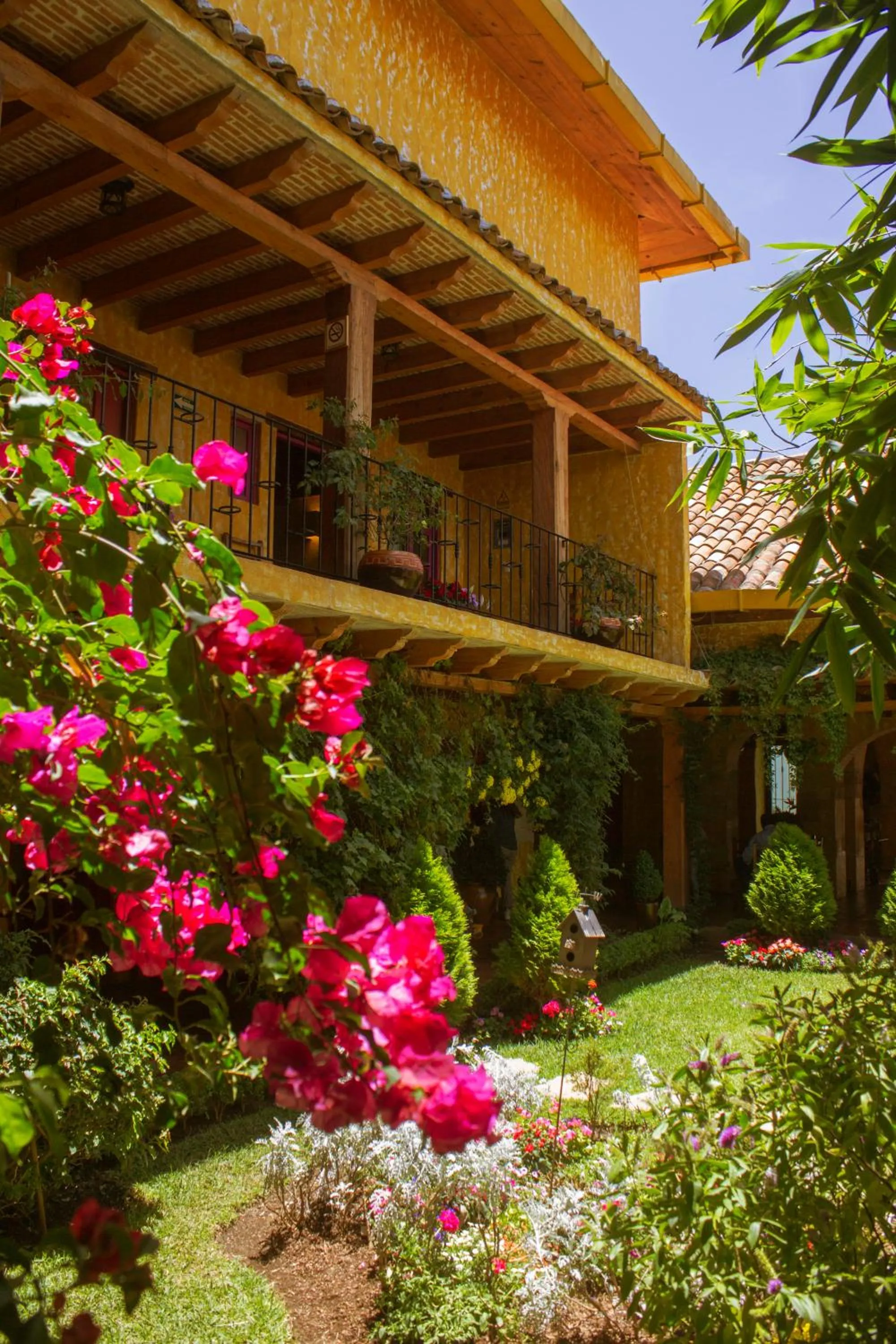 Hotel Posada Primavera