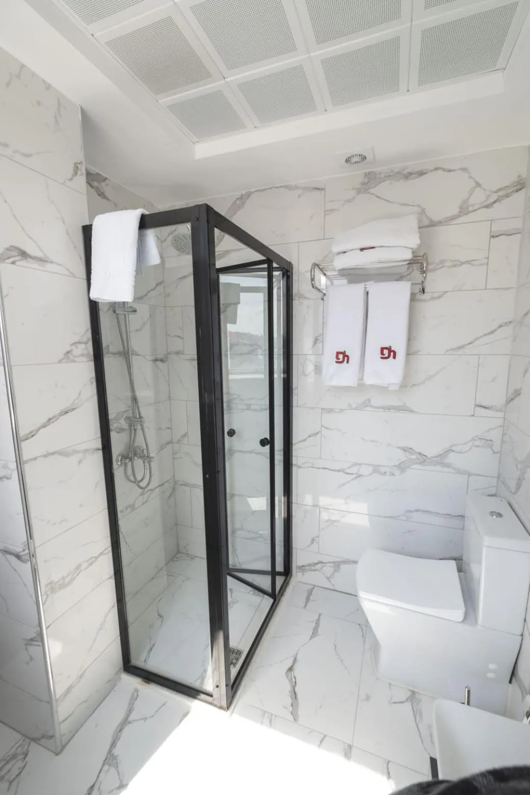 Shower in DEWY HOTEL