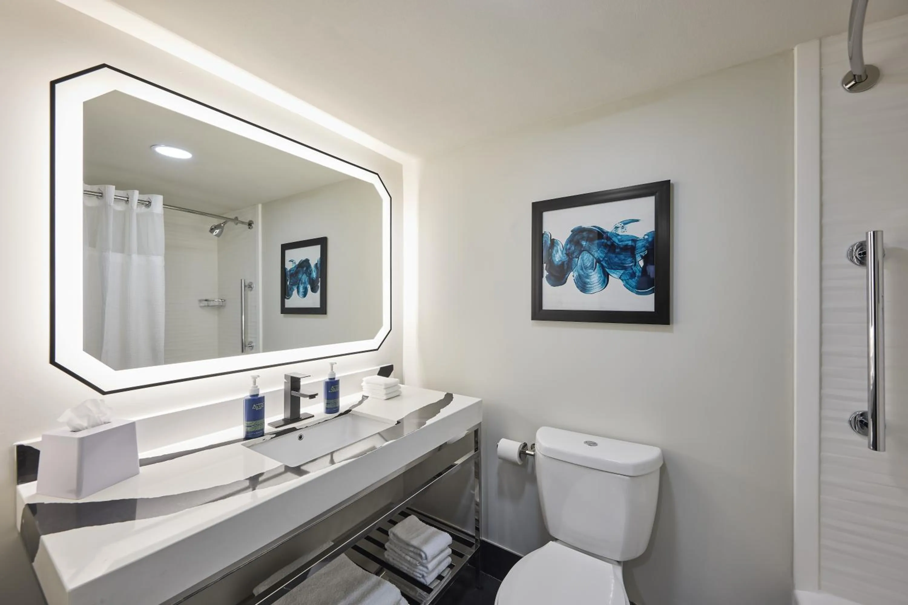 Bathroom in Four Points by Sheraton Englewood Centennial Airport