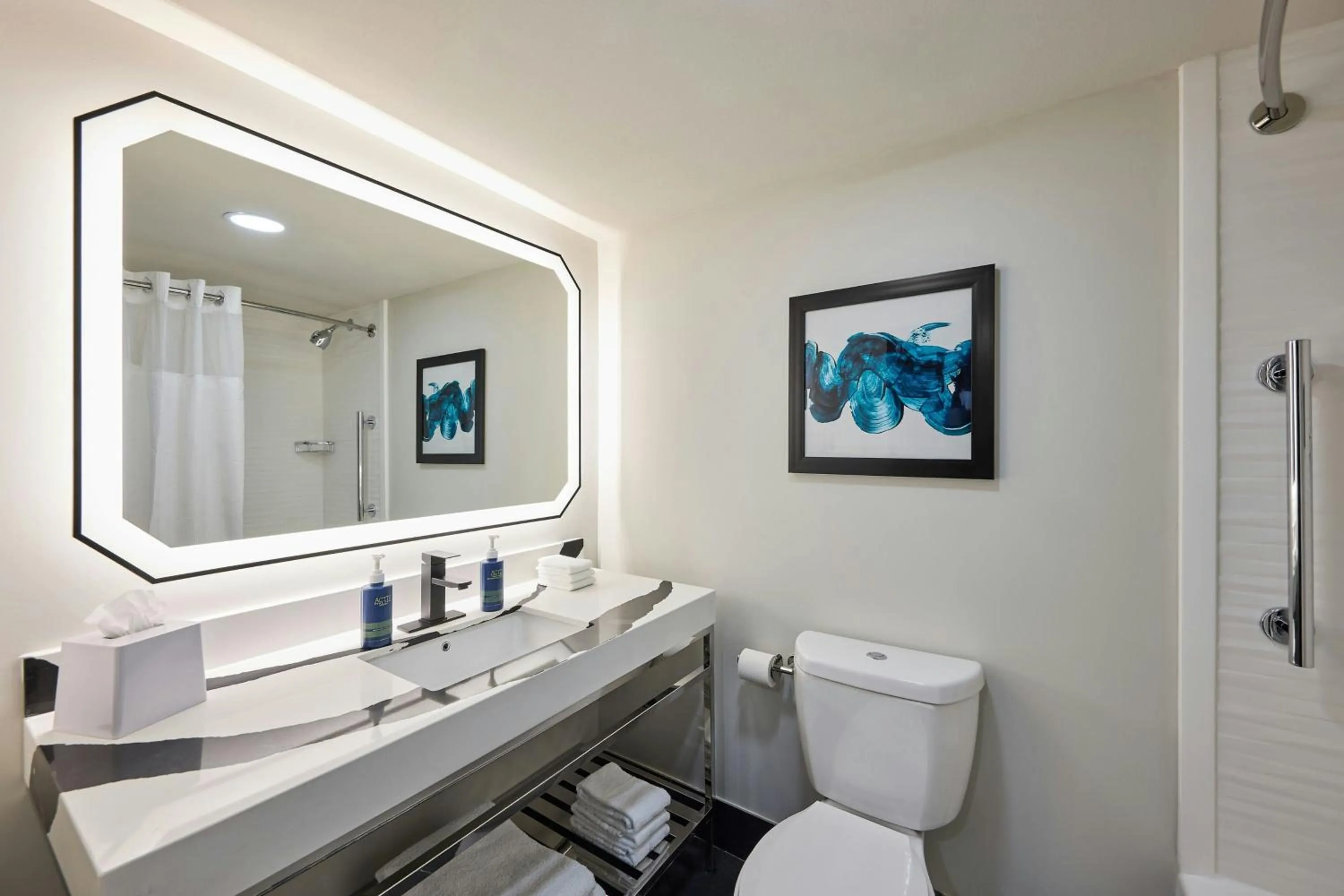 Bathroom in Four Points by Sheraton Englewood Centennial Airport