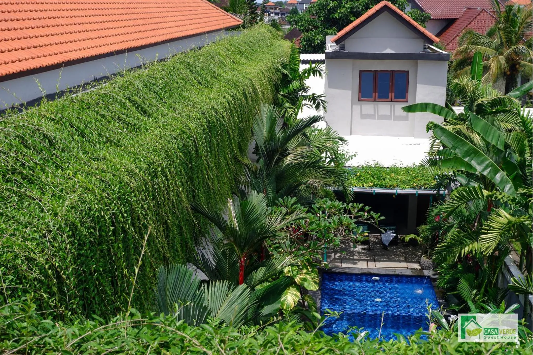 View (from property/room) in Casa Verde Guesthouse