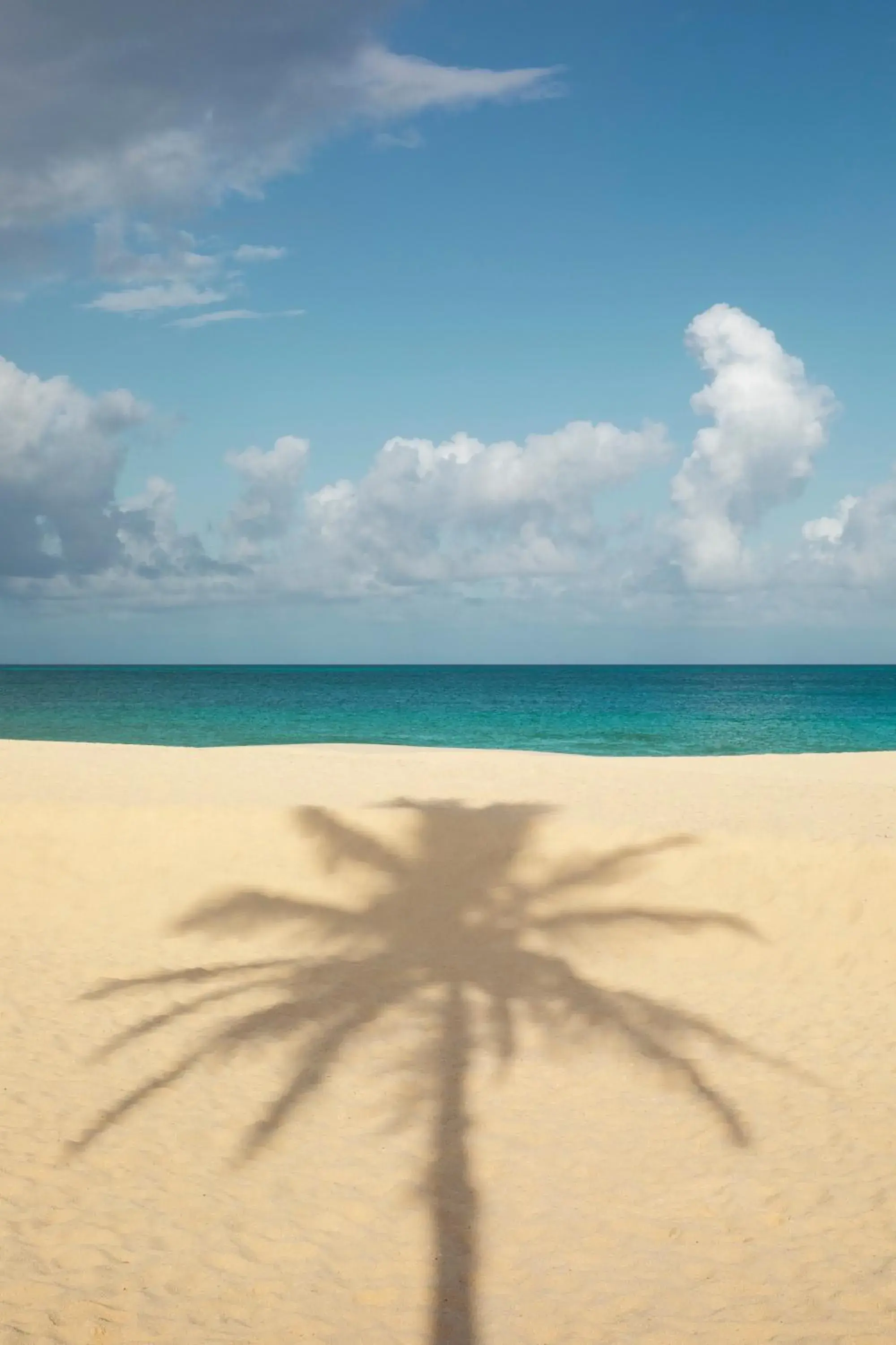 Beach in JOIA Aruba by Iberostar Beach in JOIA Aruba by Iberostar