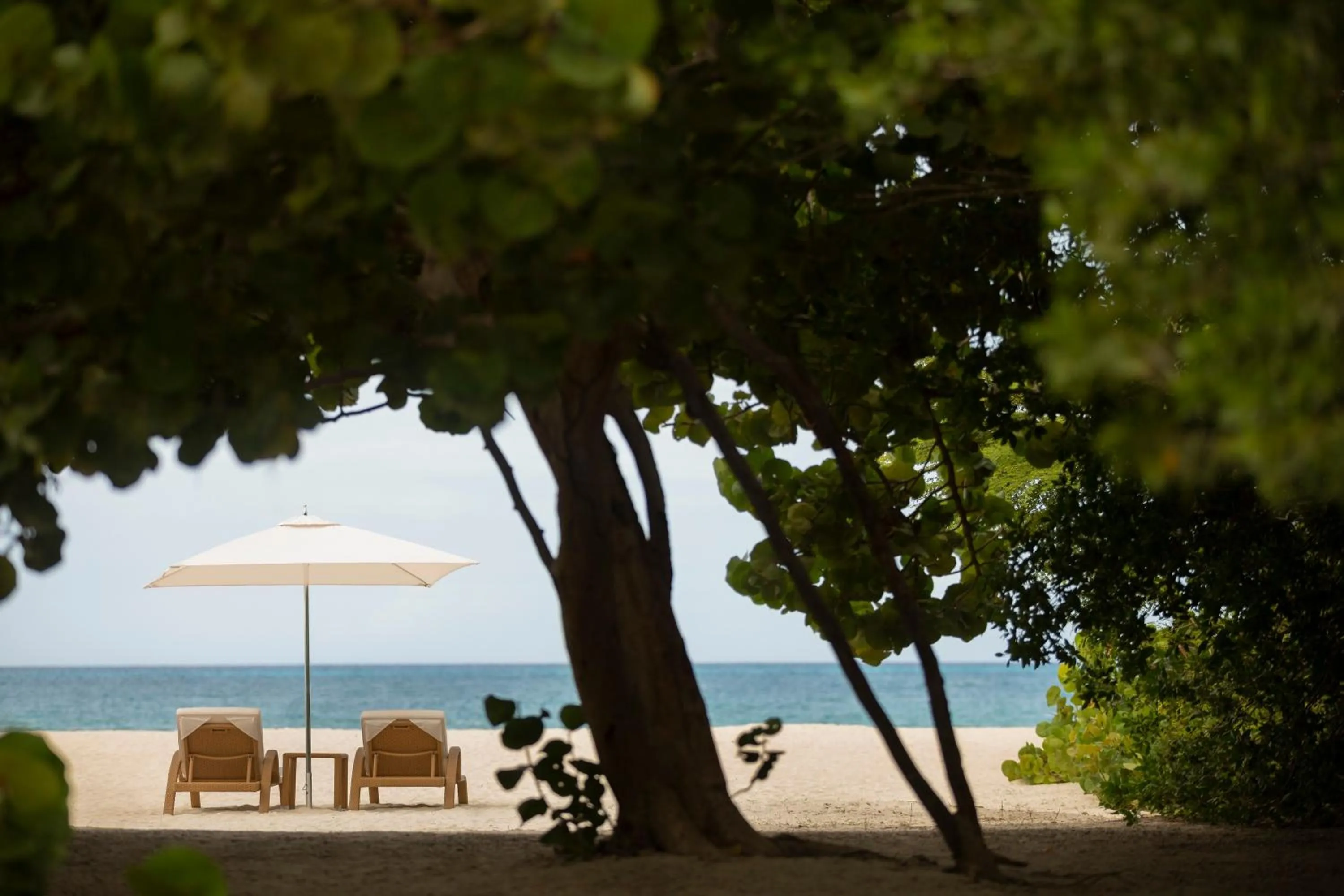 Off site in JOIA Aruba by Iberostar