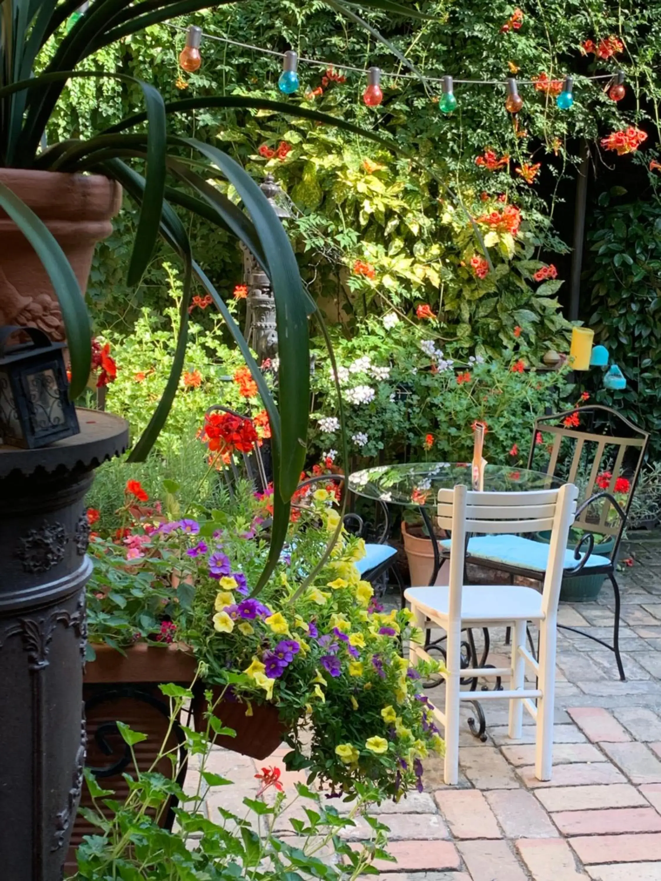 Bed and Breakfast "Caffe-caffe" Bed and Breakfast "Caffe-caffe"