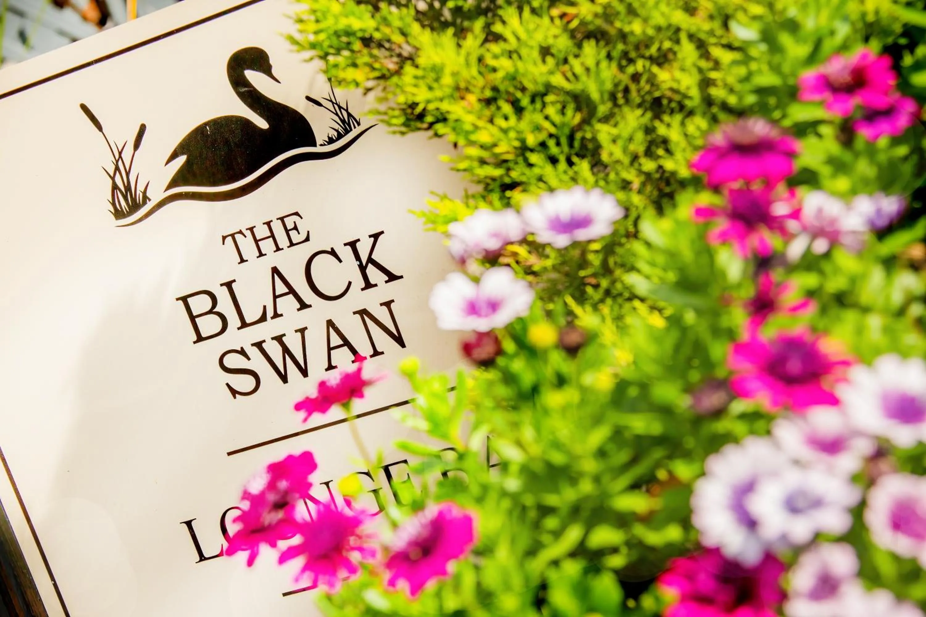 Garden in The Black Swan Inn