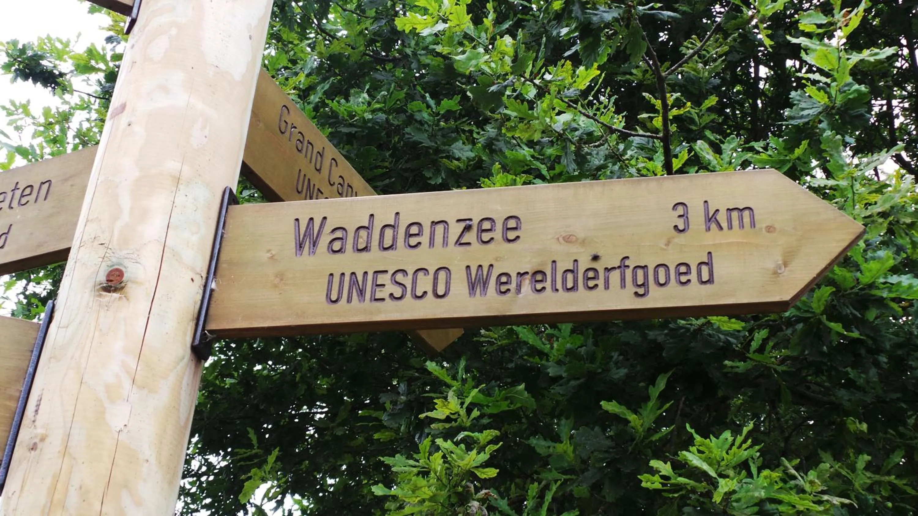 Area and facilities in Hotel Waddengenot