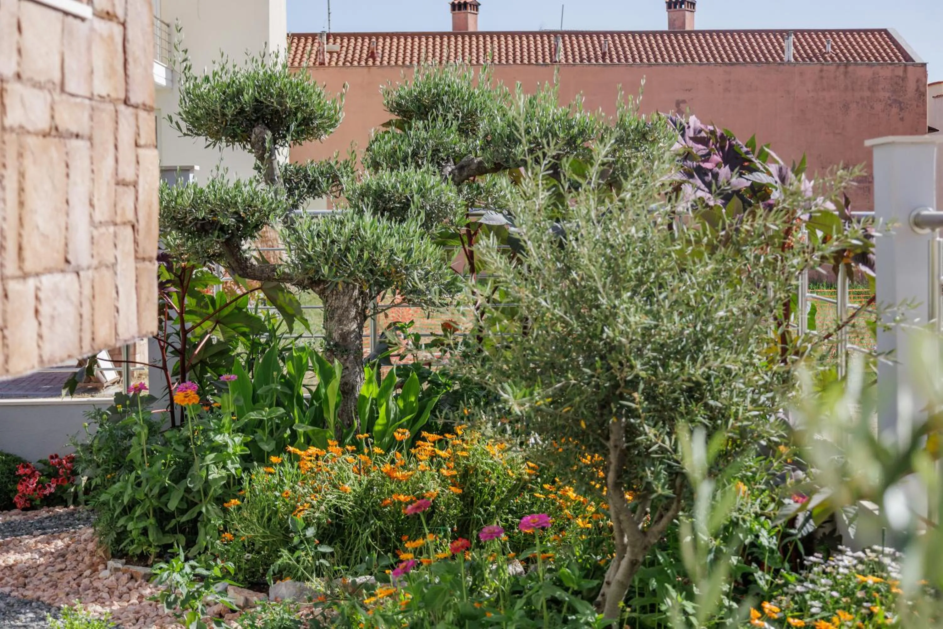 Garden in Olive Inn